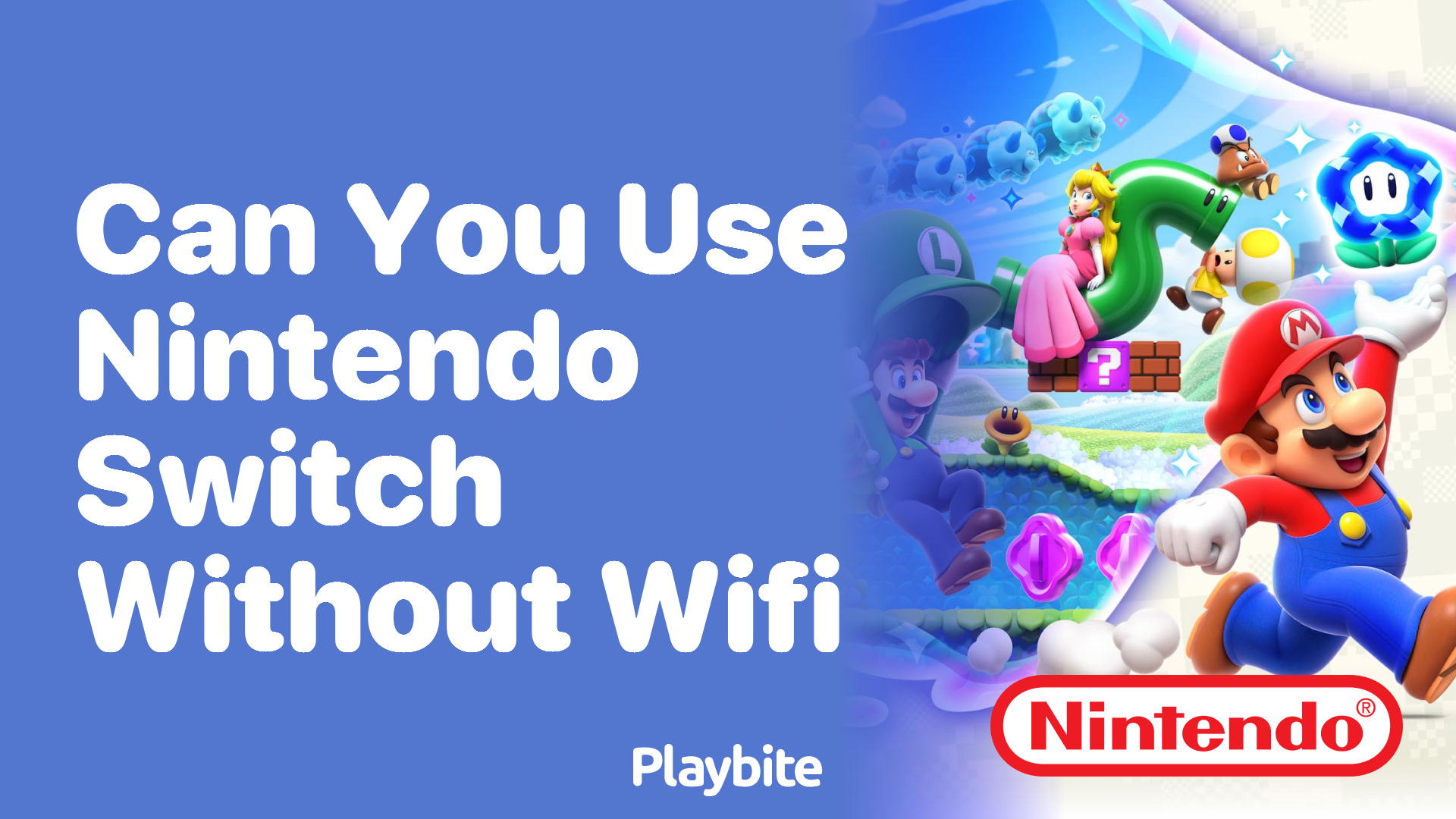 Can you play on the sale switch without wifi