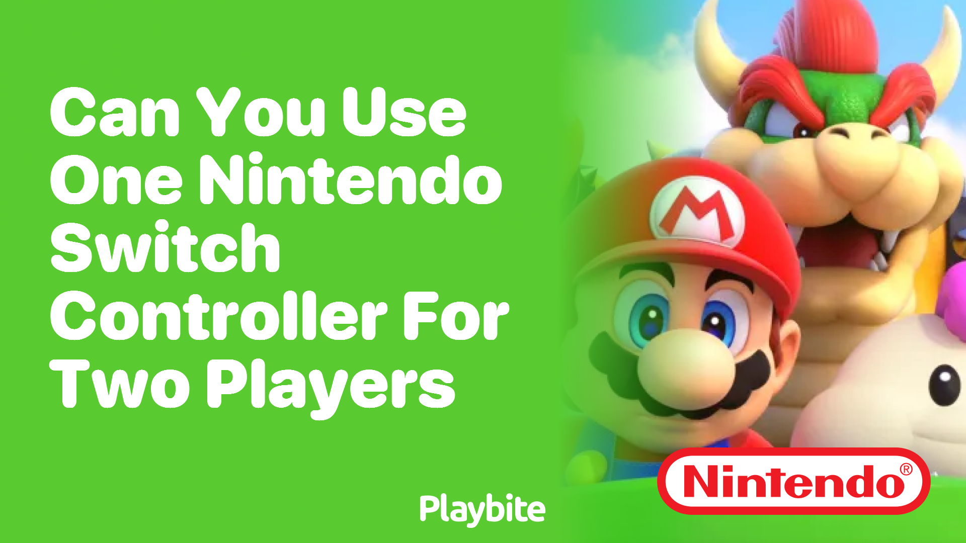 Can You Use One Nintendo Switch Controller for Two Players? - Playbite