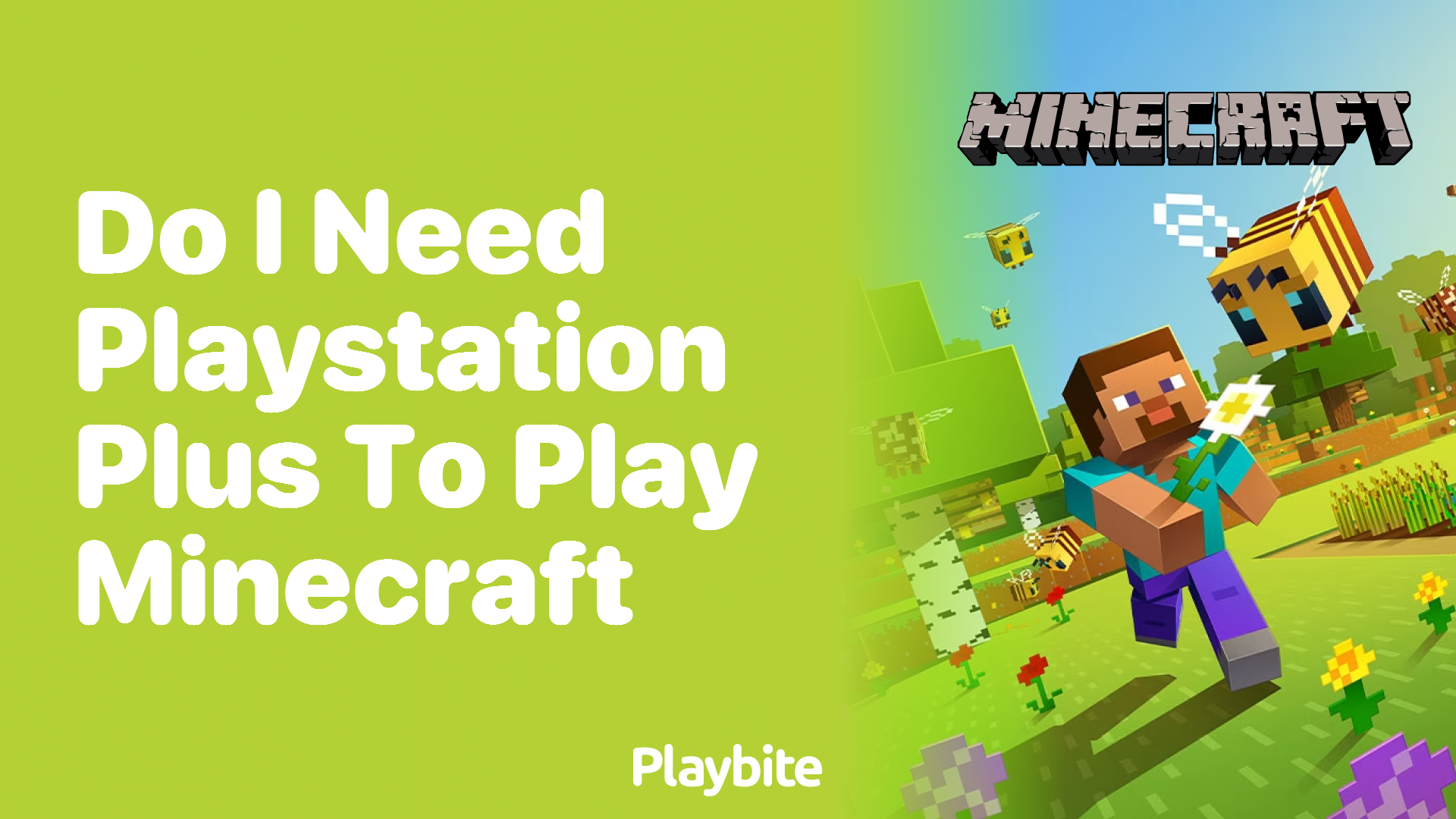 Minecraft ps store plus