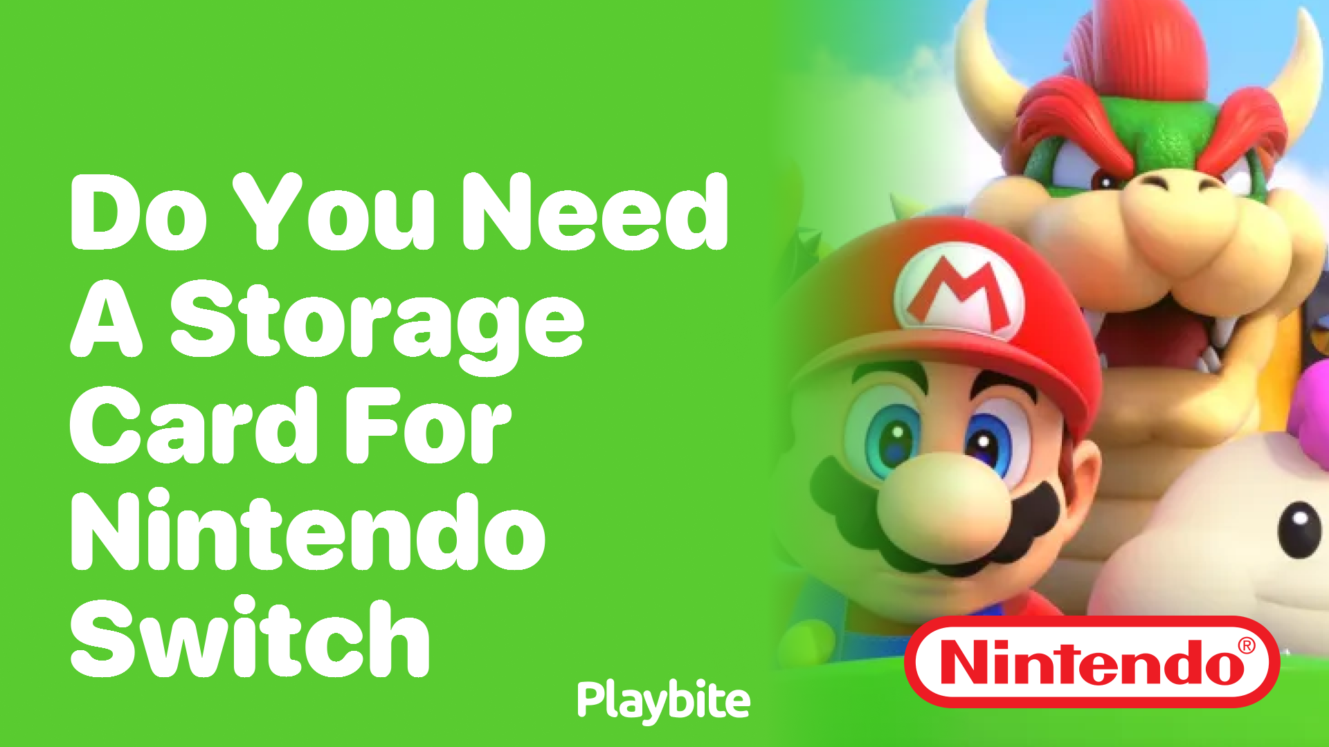 Do You Need a Storage Card for Your Nintendo Switch?