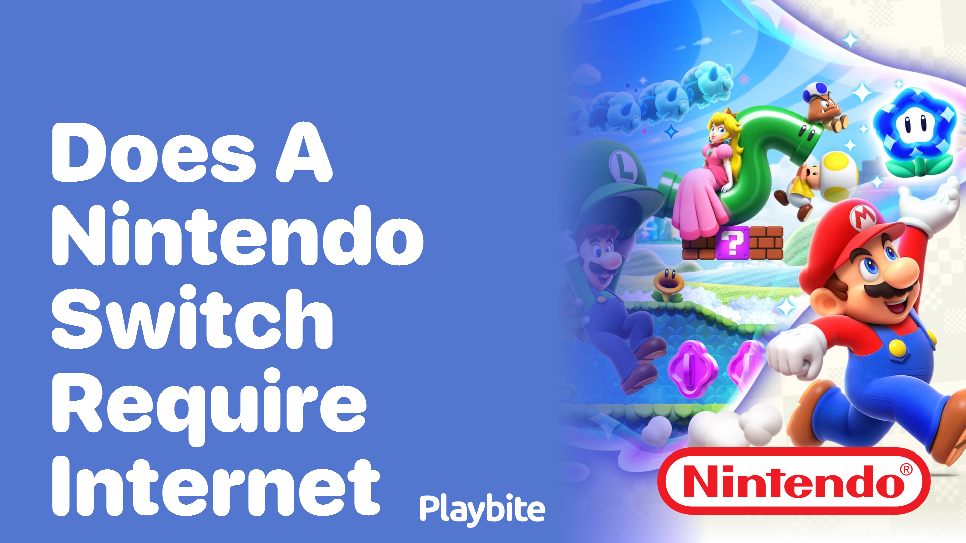 Does a Nintendo Switch Require Internet Playbite