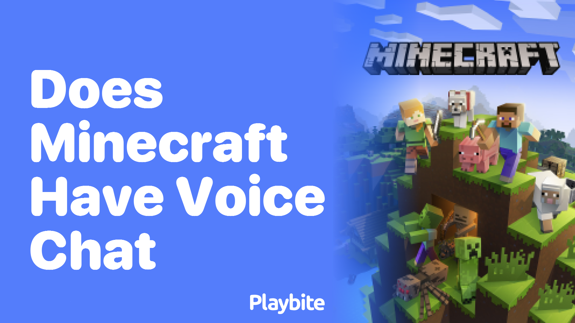 does minecraft pe have voice chat