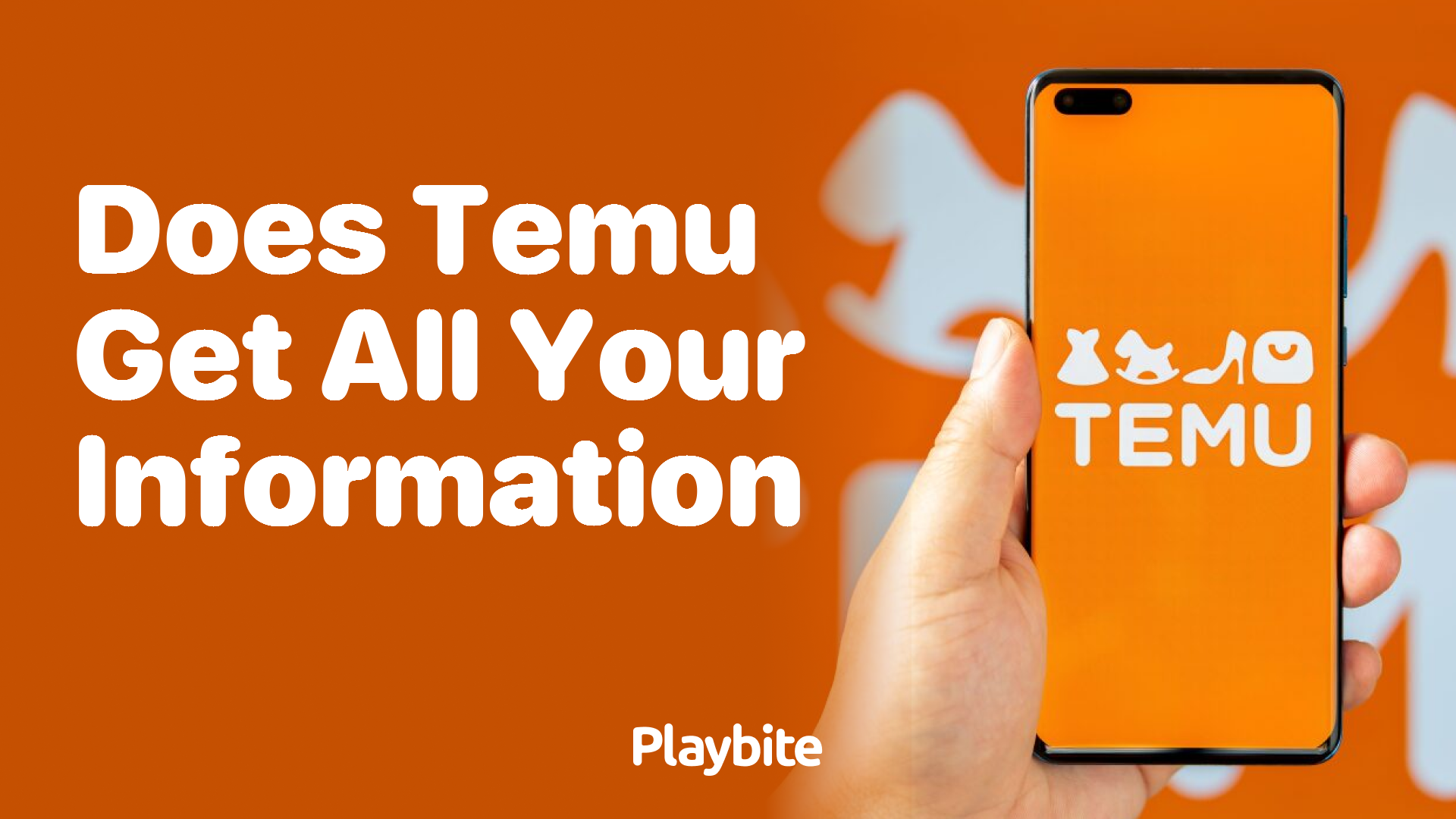 Does Temu get all your information?