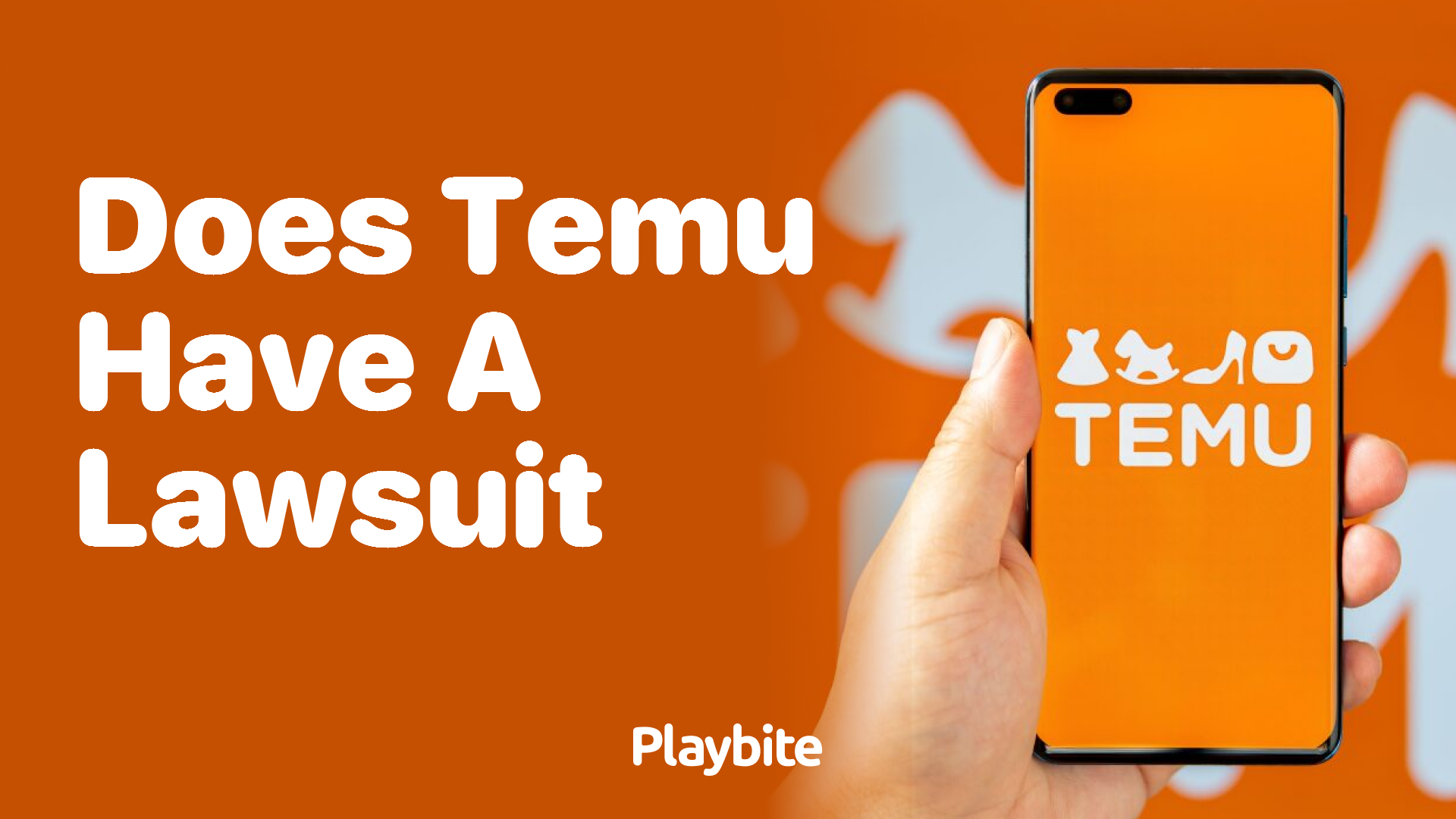 Does Temu Have a Lawsuit?