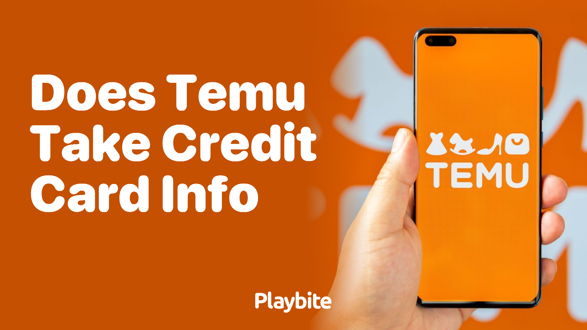 Does Temu Take Credit Card Info? Find Out Here!