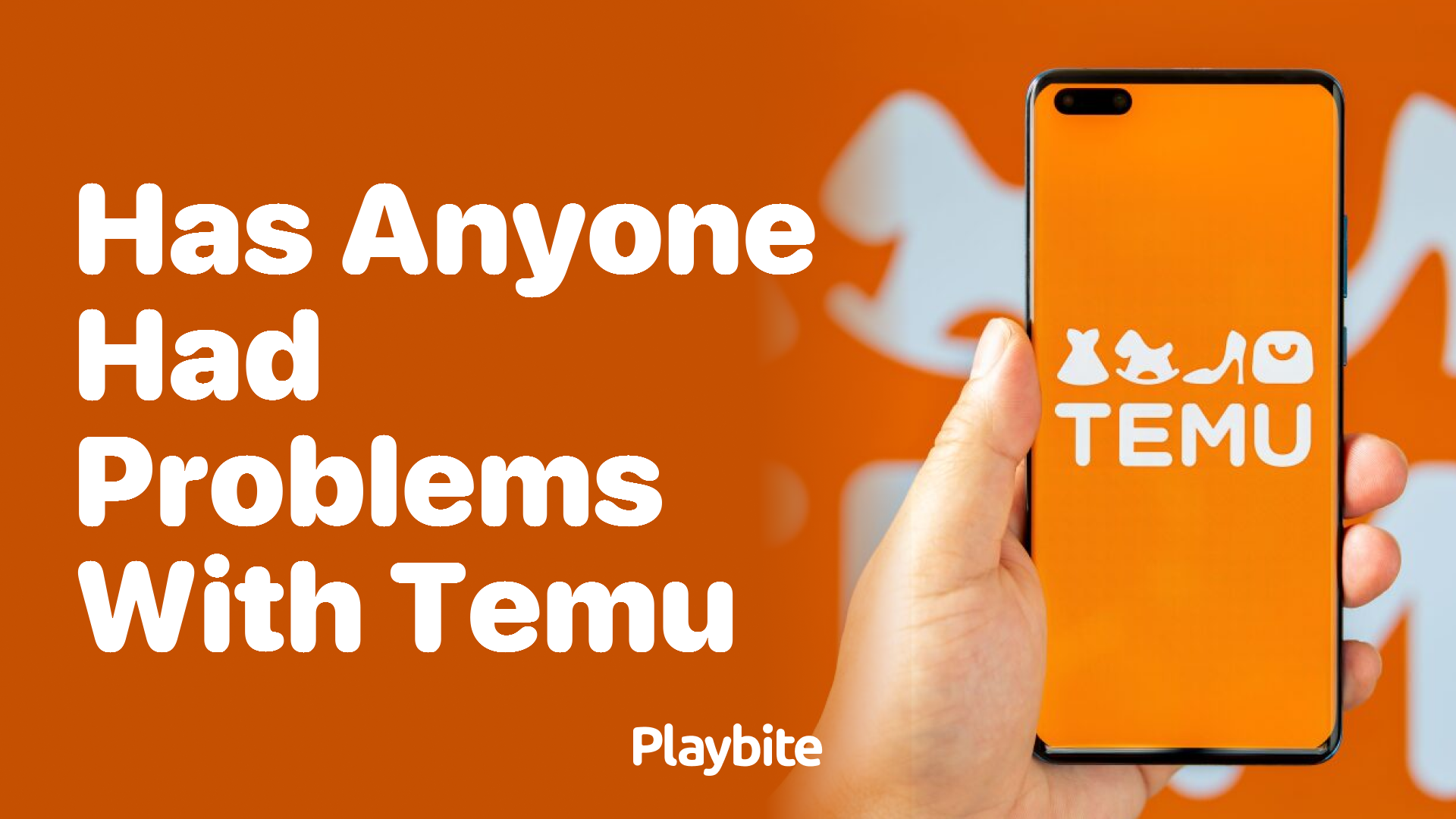 Has Anyone Had Problems With Temu?