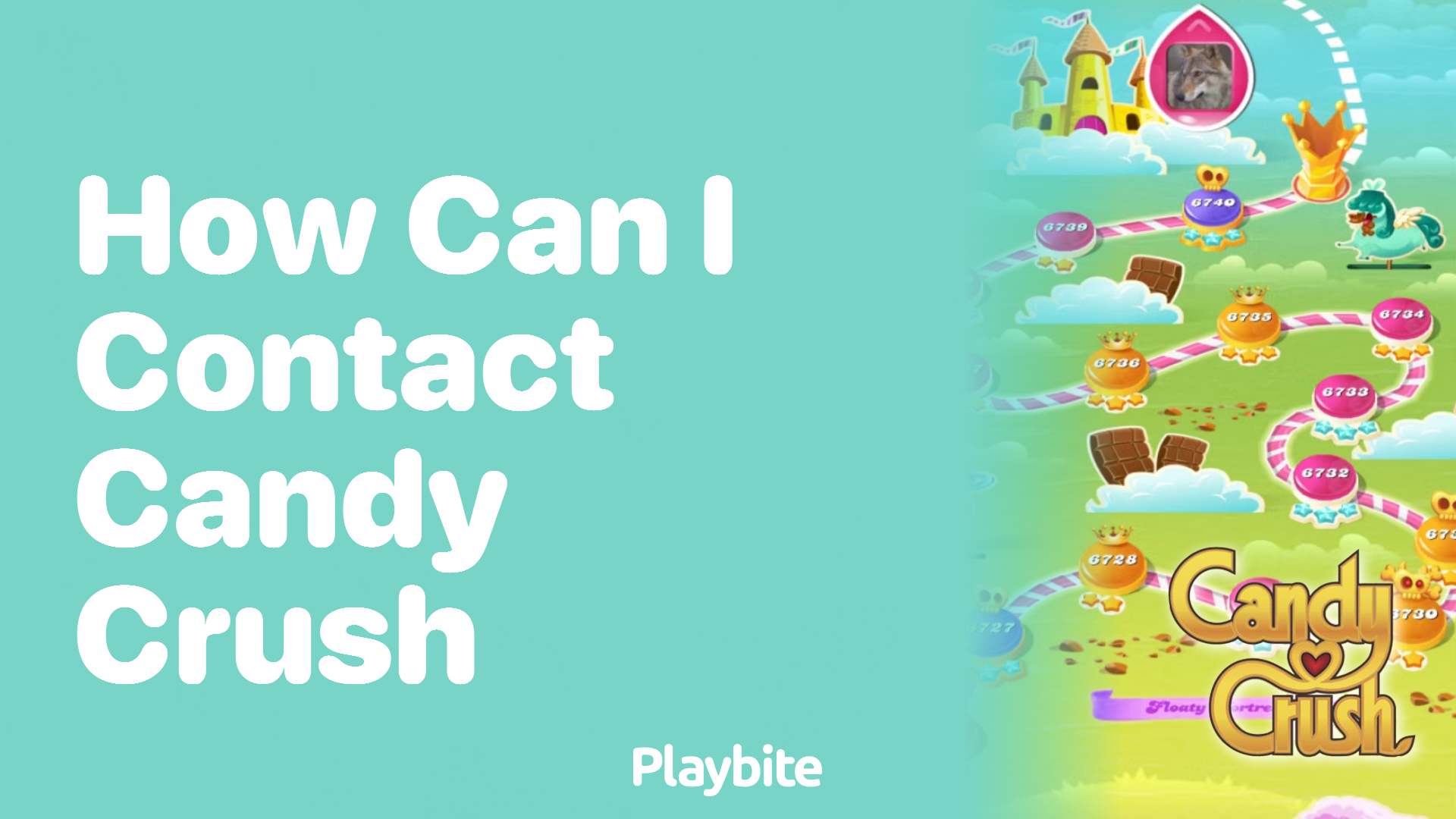 How Can I Contact Candy Crush for Support?