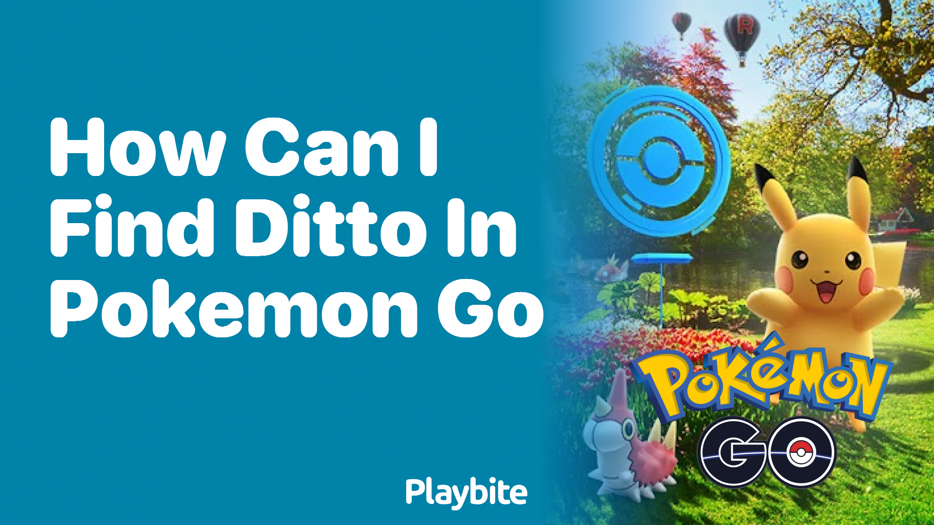 How Can I Find Ditto in Pokemon GO?