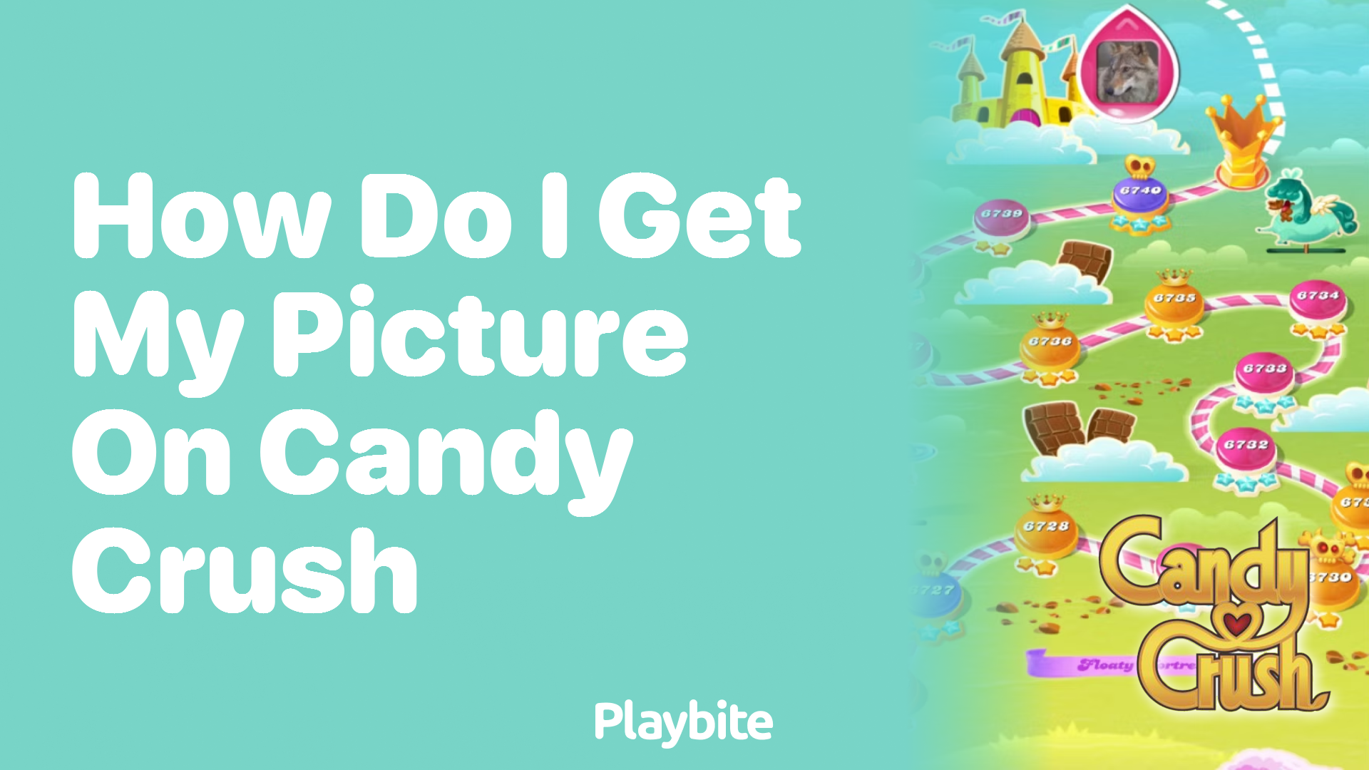 How Do I Get My Picture on Candy Crush?