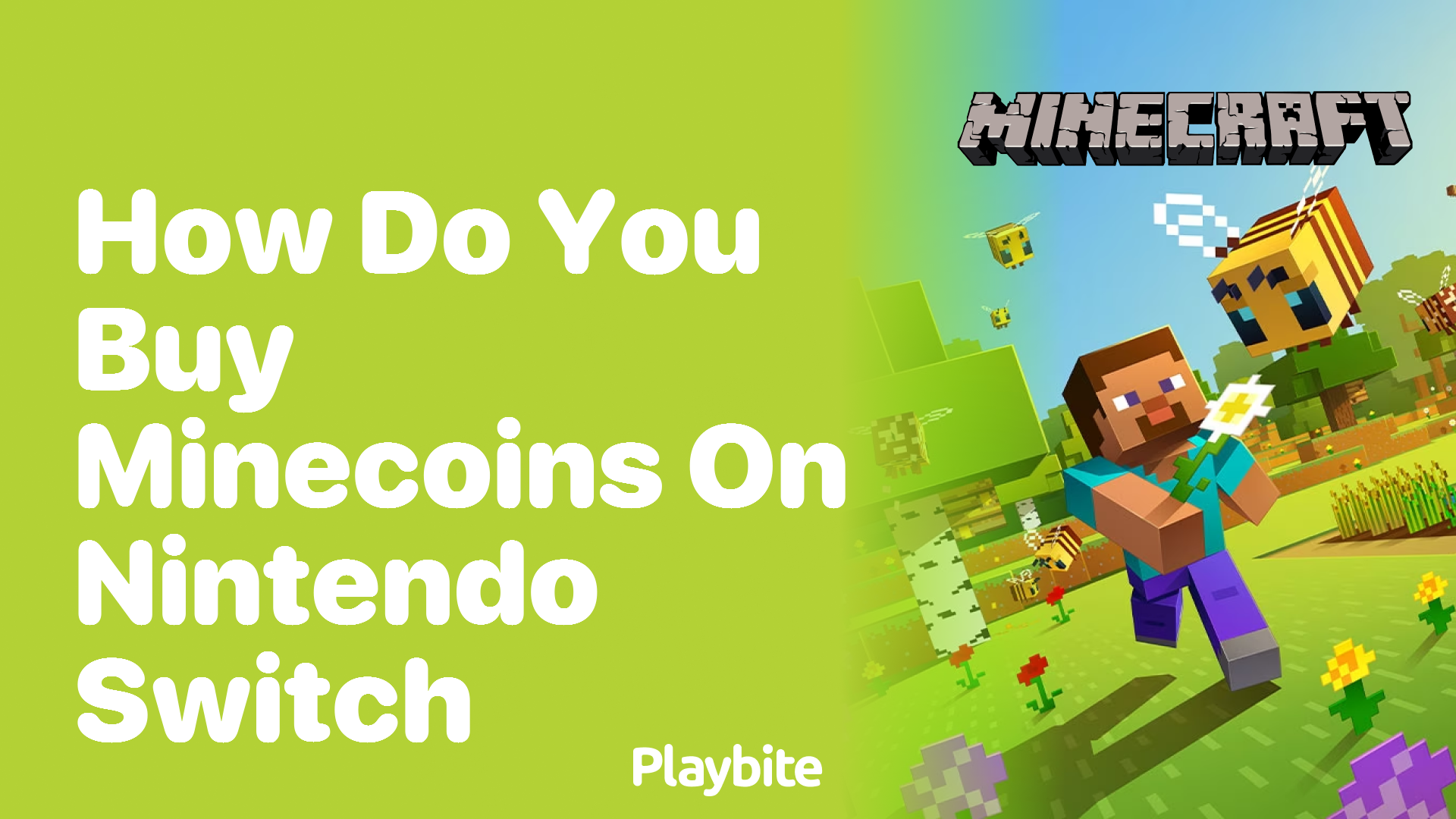 How Do You Buy Minecoins on Nintendo Switch?