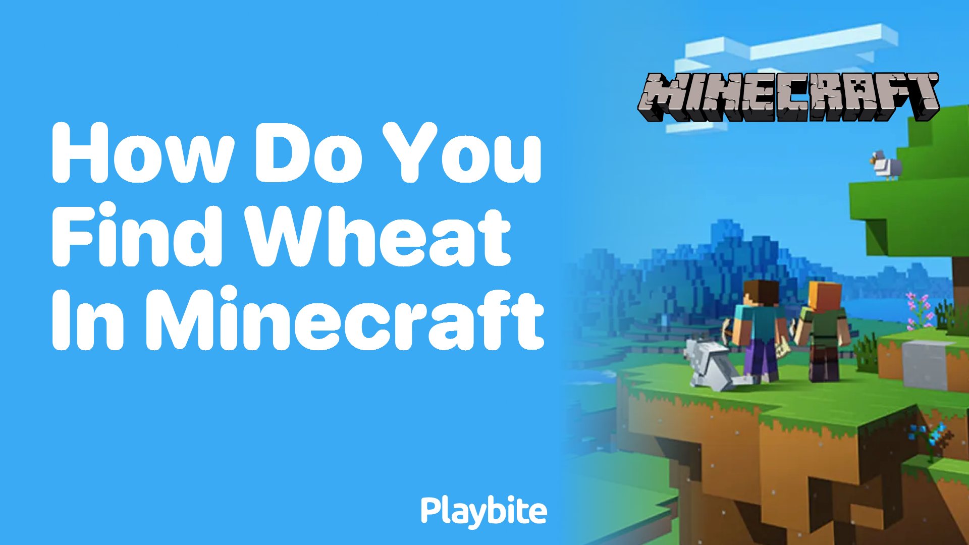 How Do You Find Wheat in Minecraft?