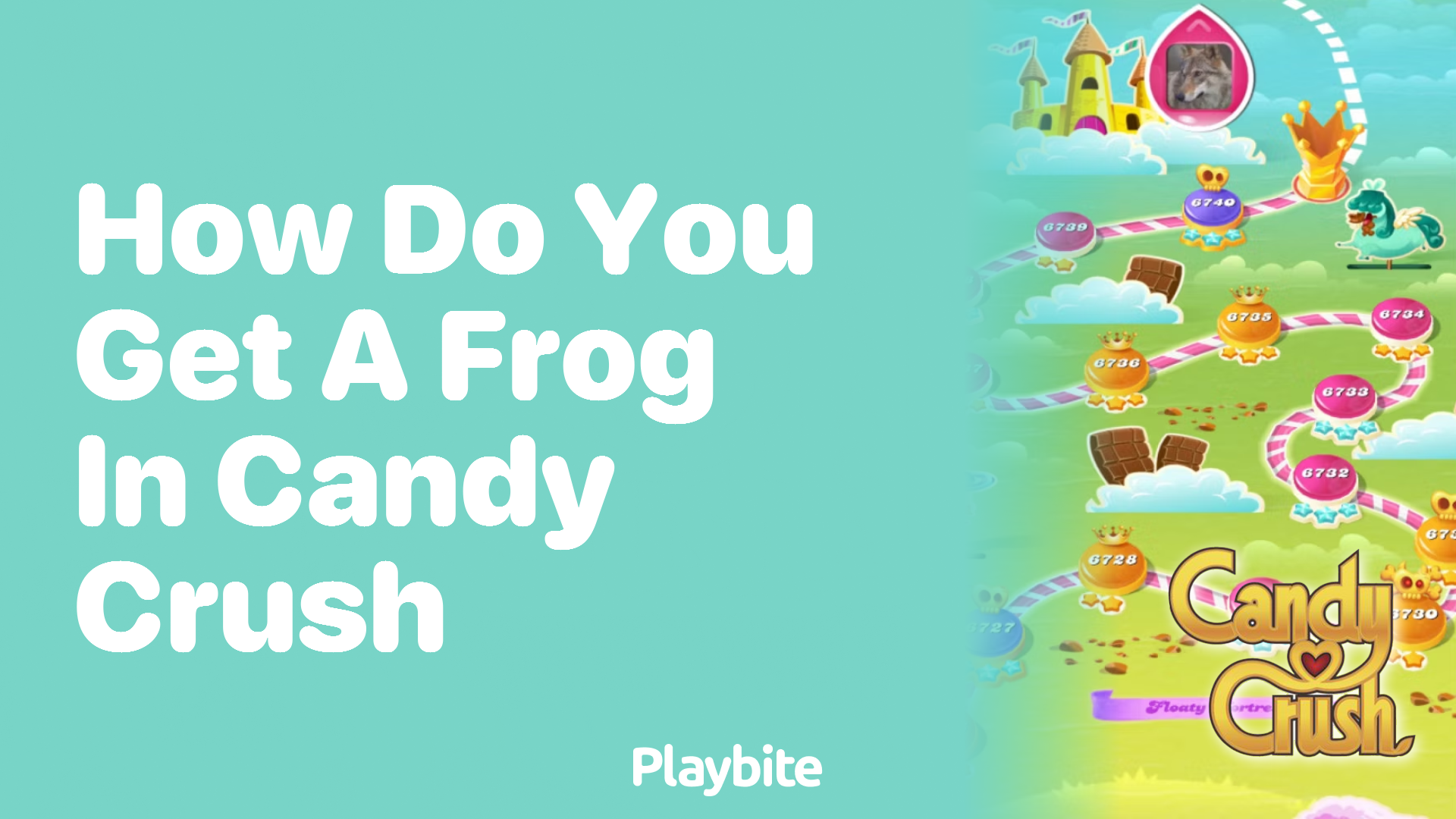 How Do You Get a Frog in Candy Crush?