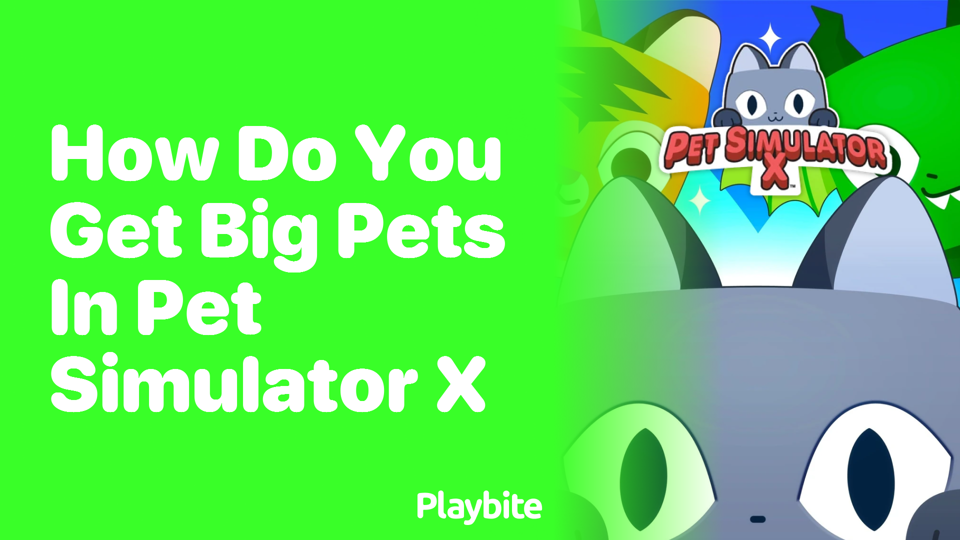 How do you get big pets in Pet Simulator X?