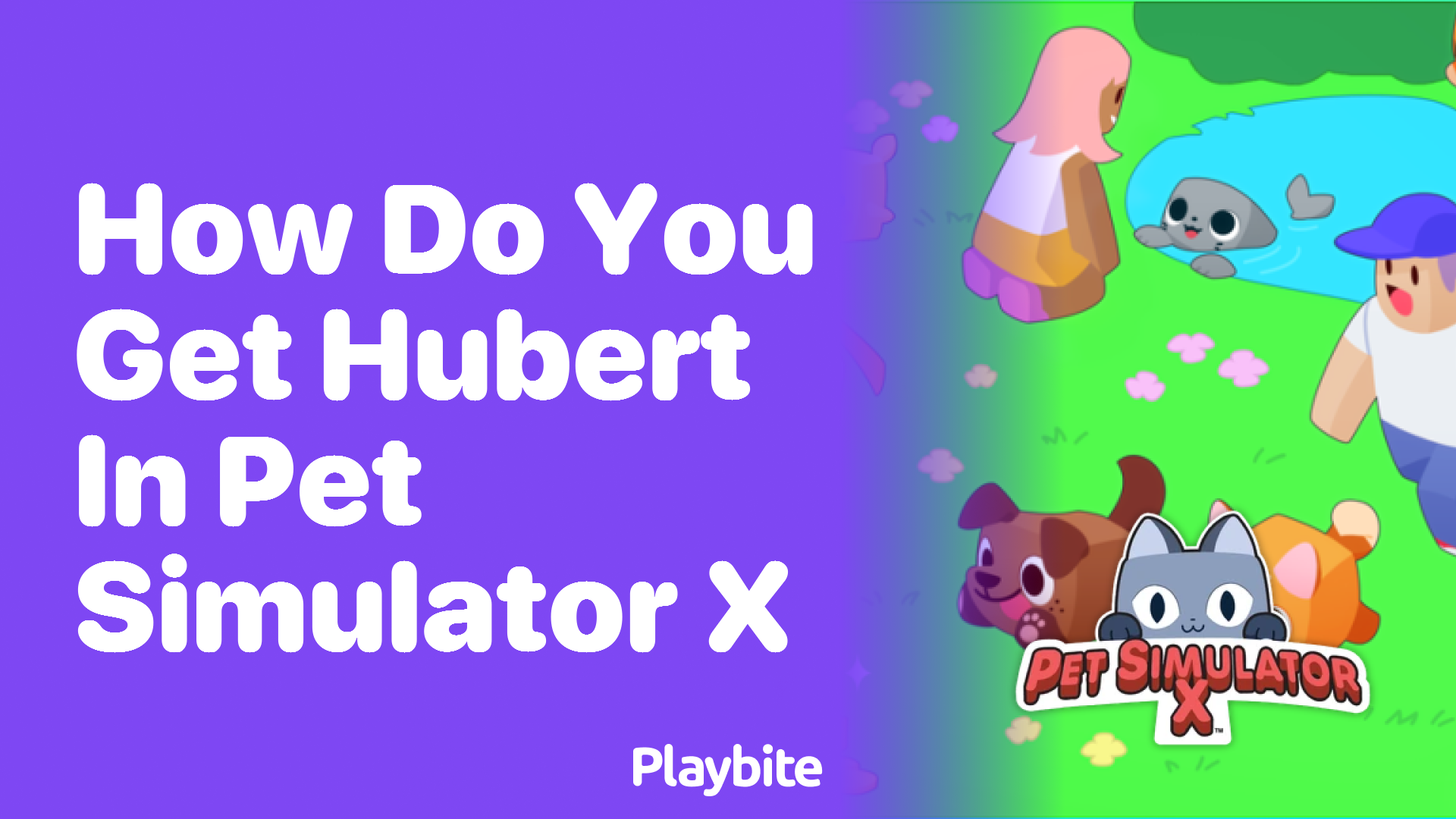 How do you get Hubert in Pet Simulator X?