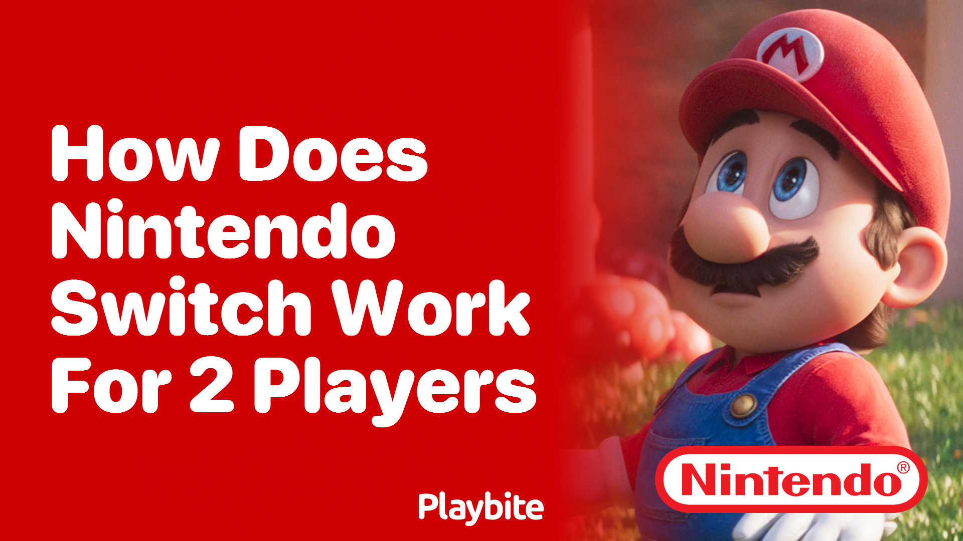 How Does the Nintendo Switch Work for 2 Players?