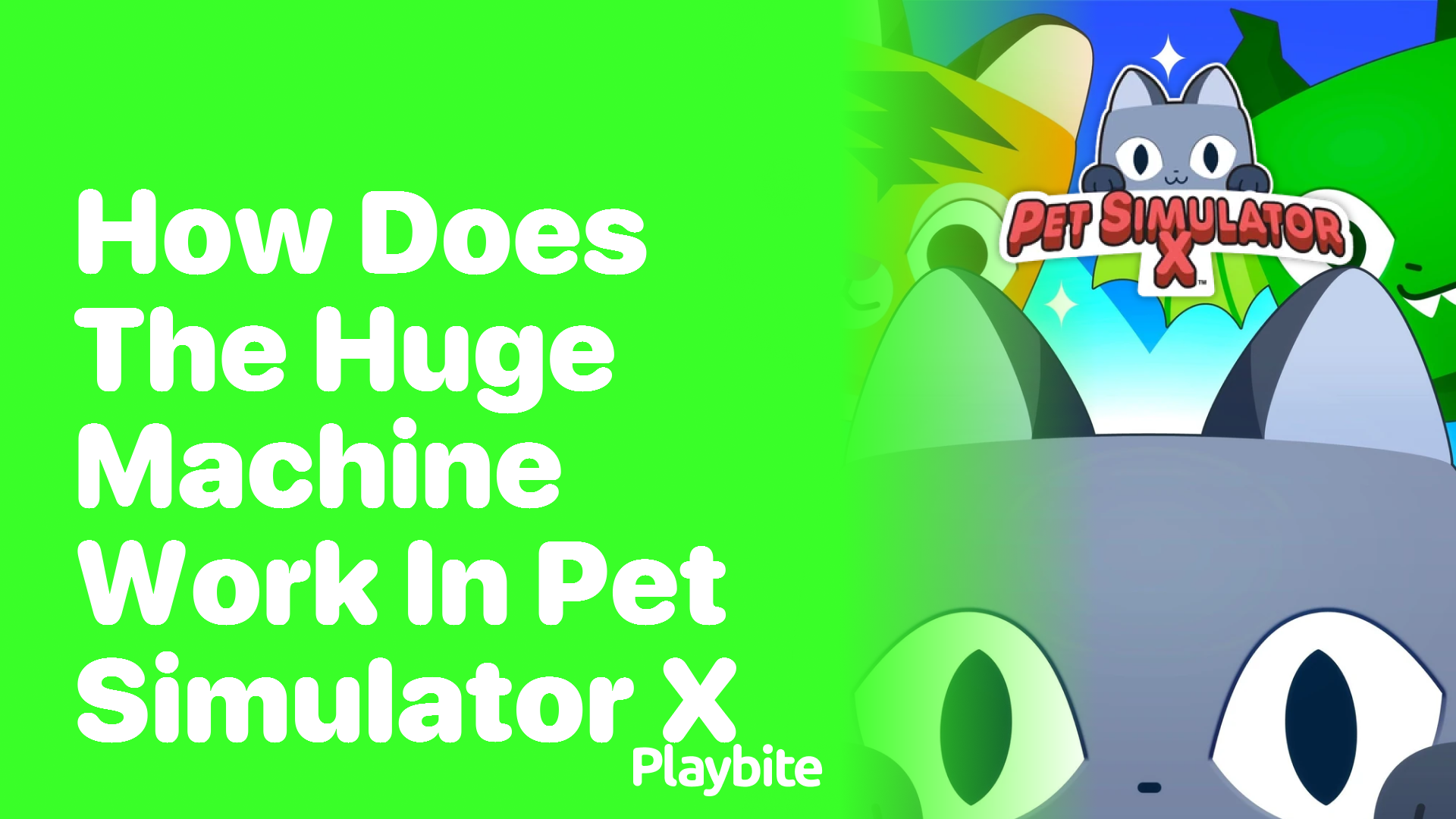 How does the Huge Machine work in Pet Simulator X?