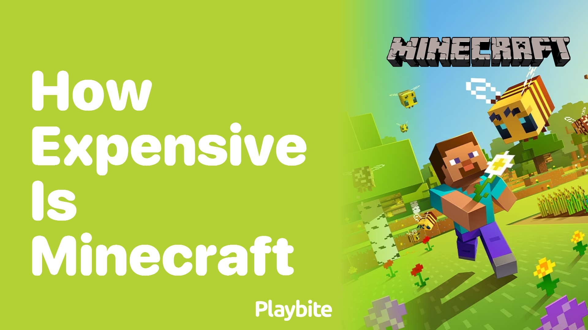 How Expensive Is Minecraft Playbite