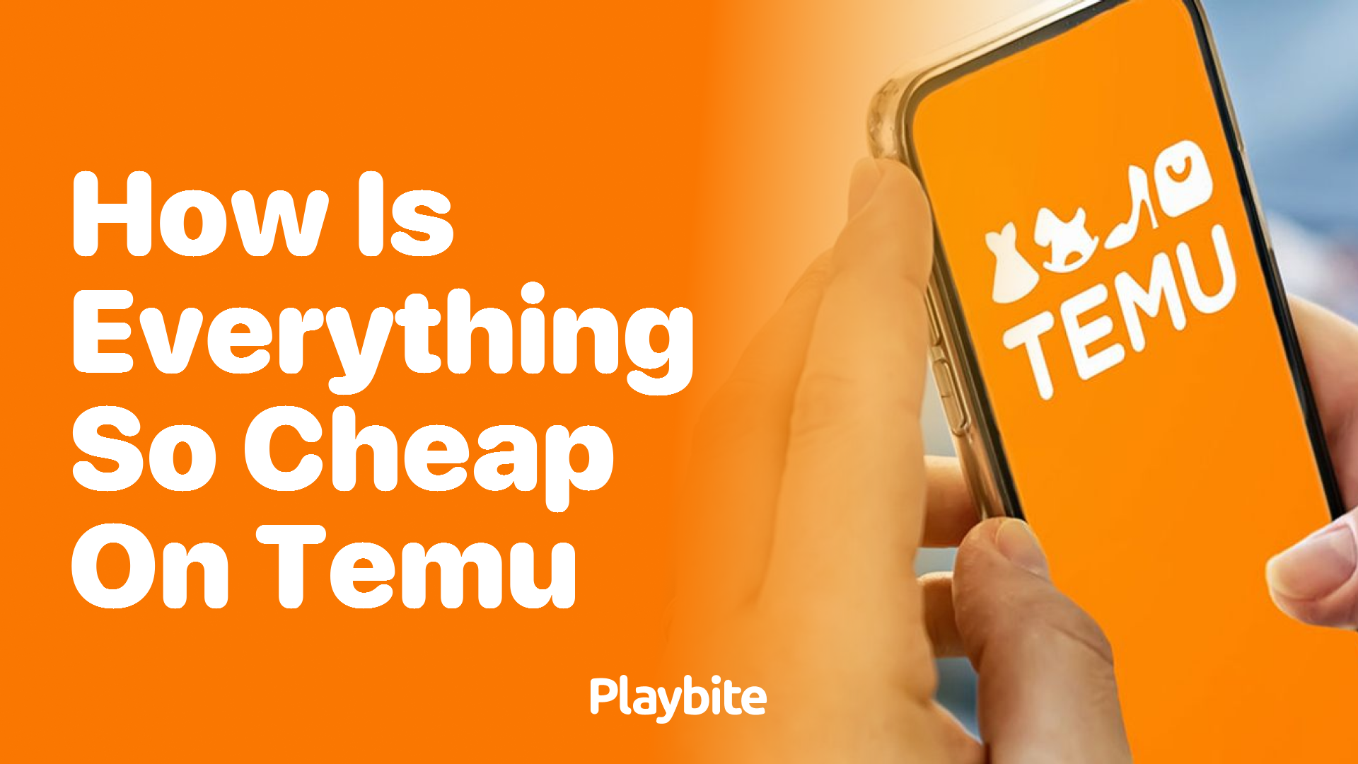 How Is Everything So Cheap on Temu?