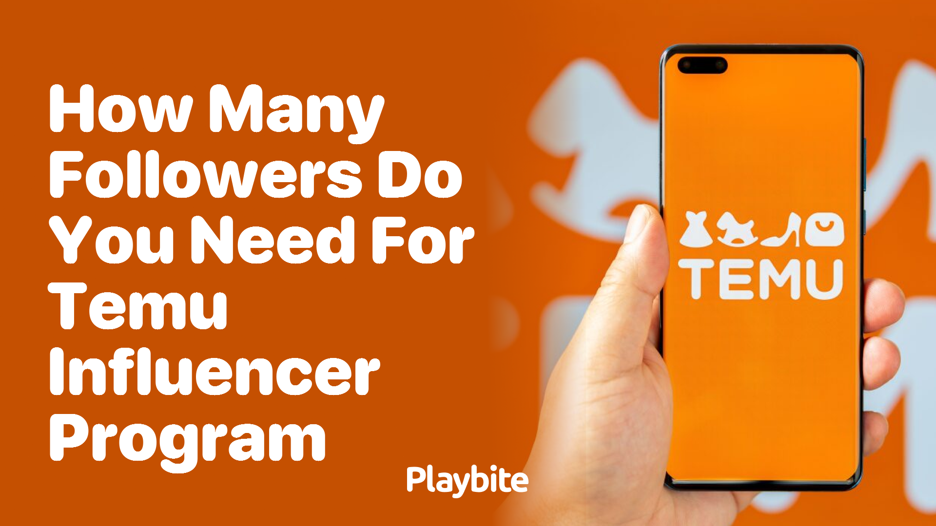 How Many Followers Do You Need for the Temu Influencer Program?