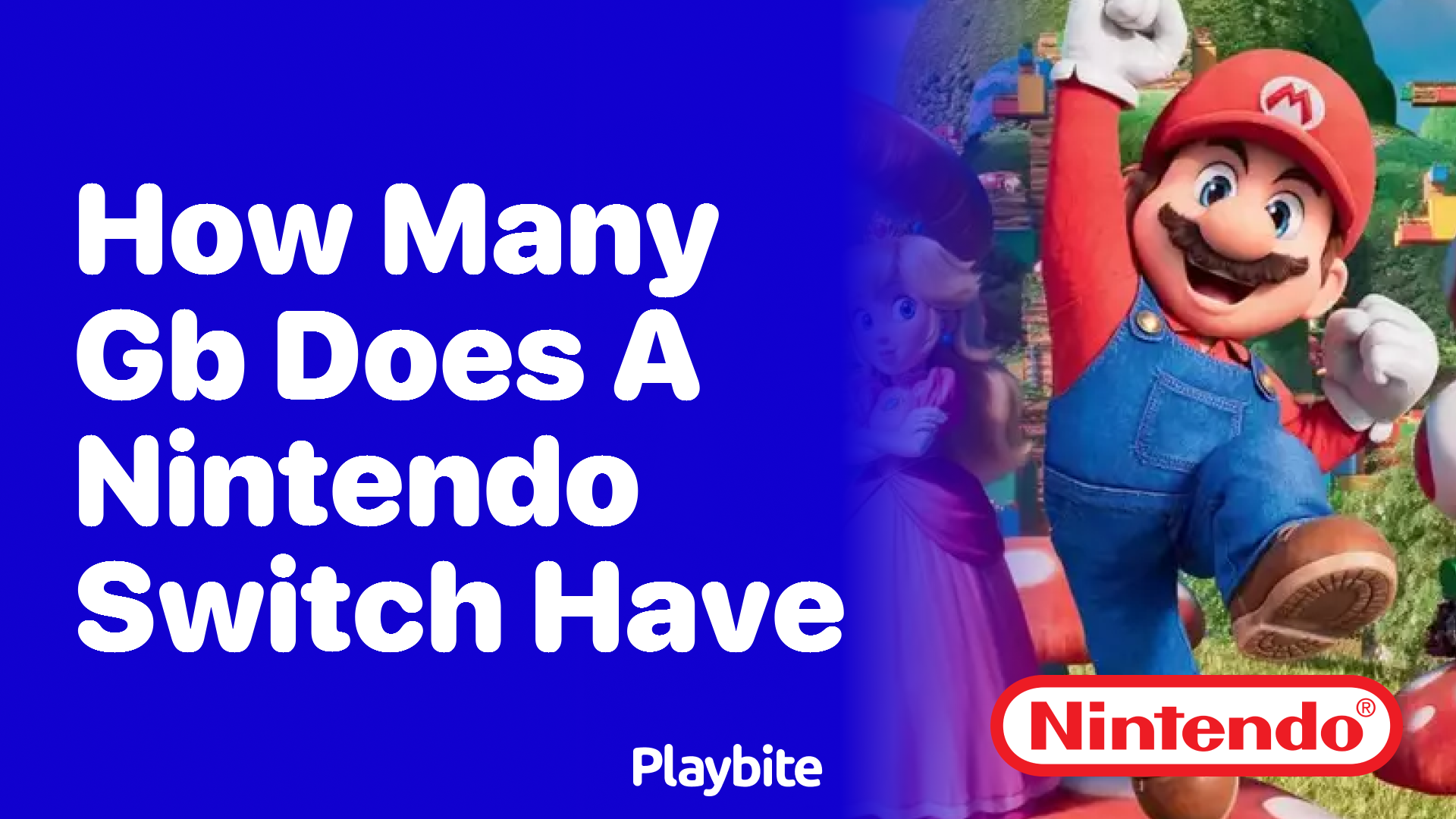 How Many GB Does a Nintendo Switch Have Playbite