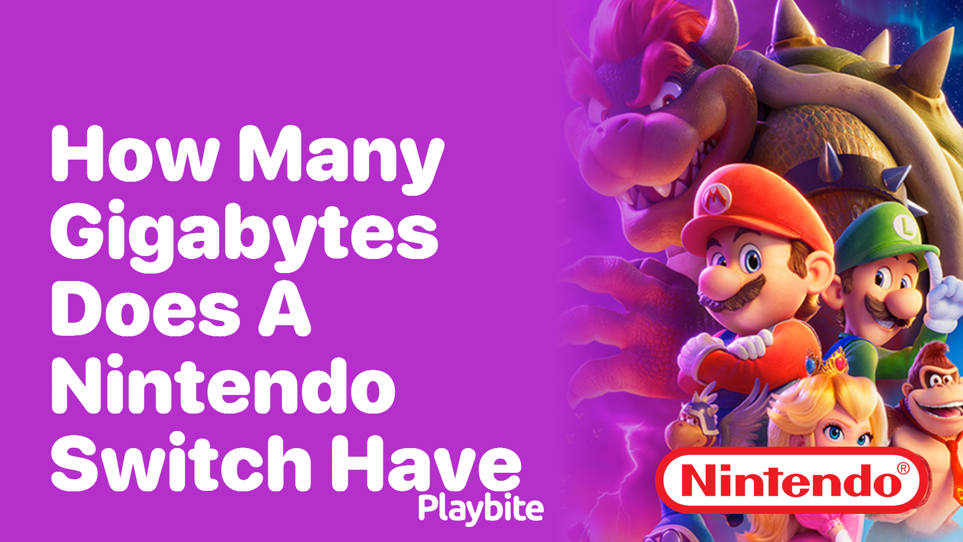 How many gigs does a sale nintendo switch have