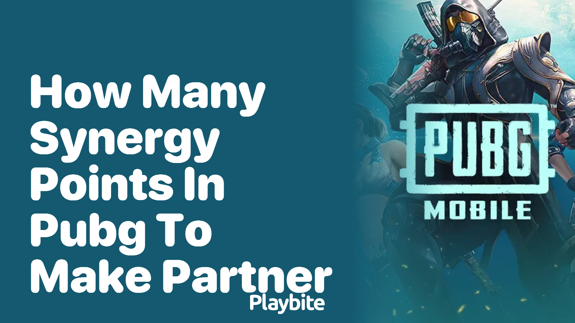 How Many Synergy Points in PUBG to Make Partner?