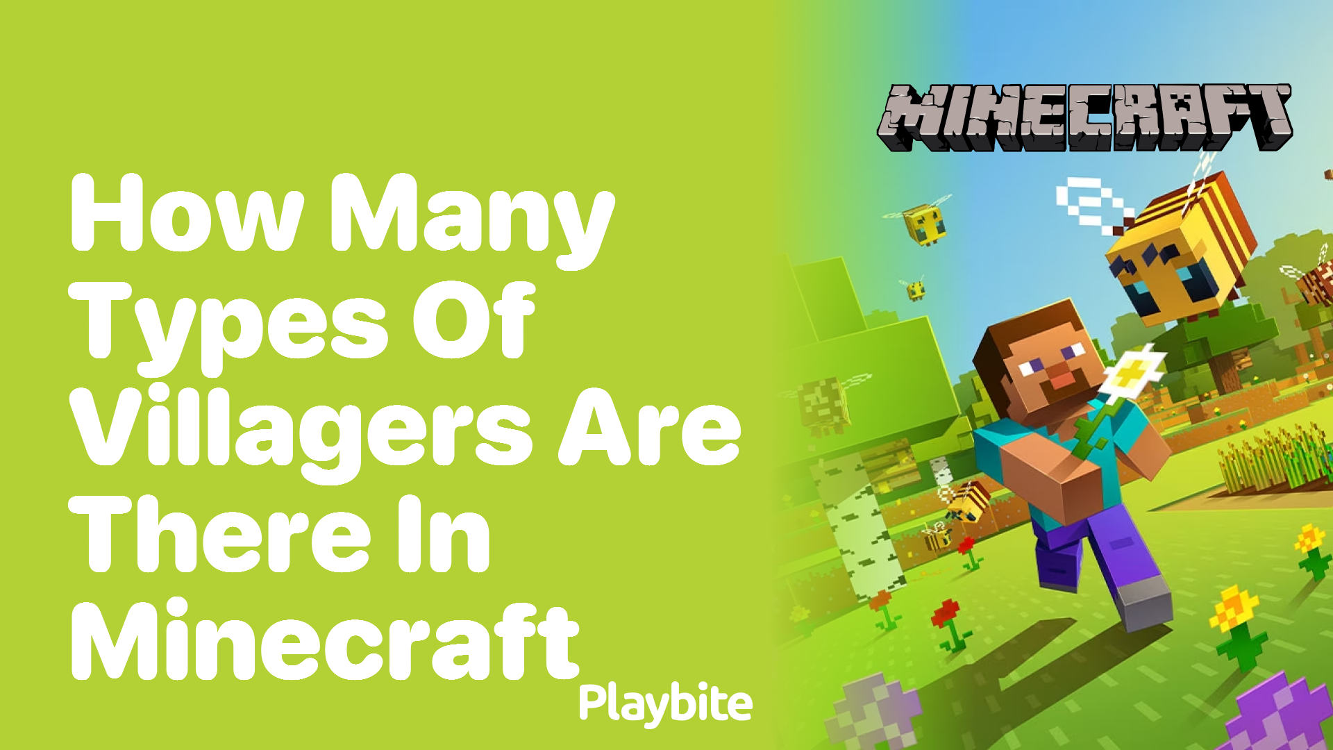 How Many Types of Villagers Are There in Minecraft?