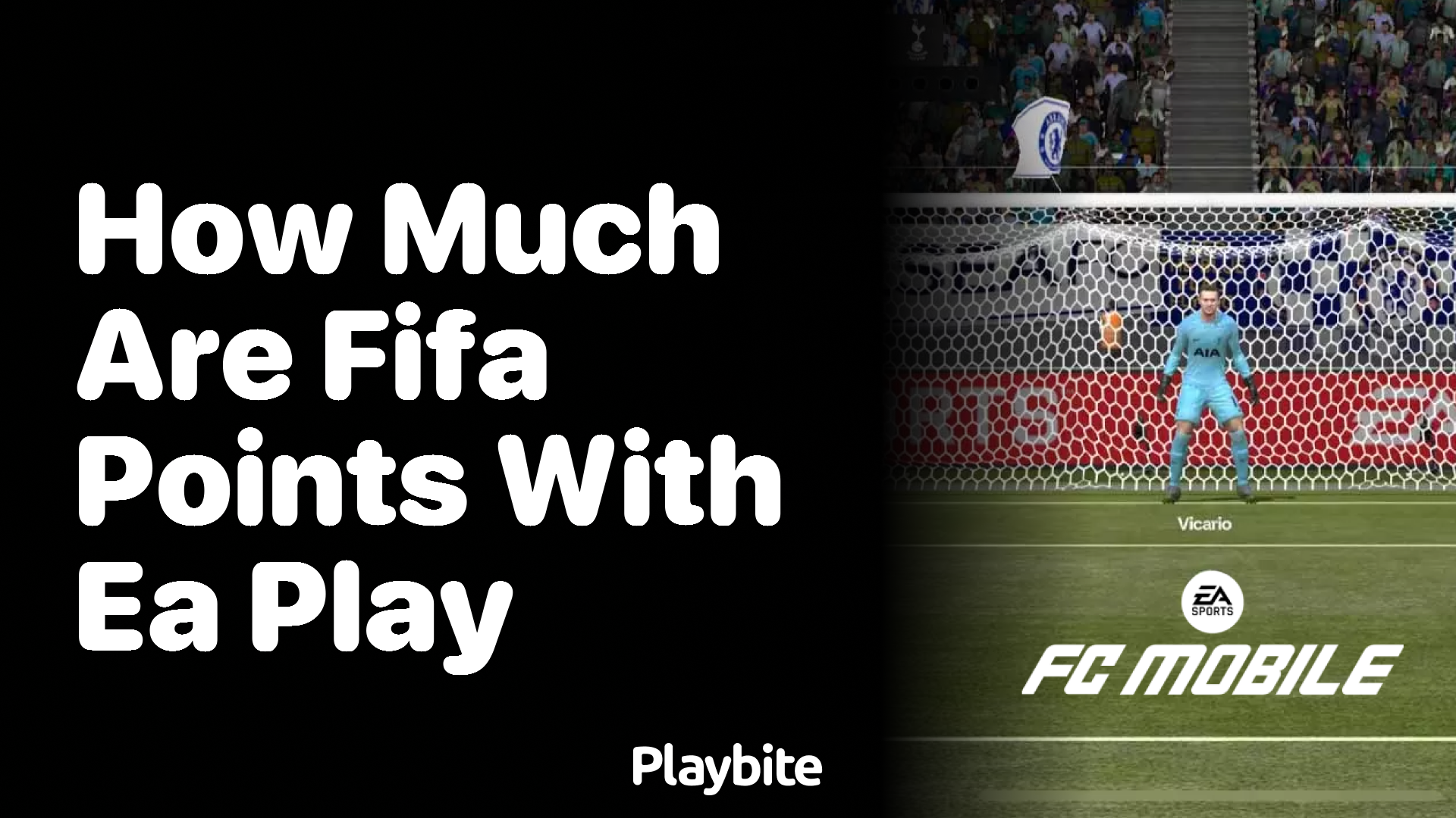 How Much Are FIFA Points With EA Play?