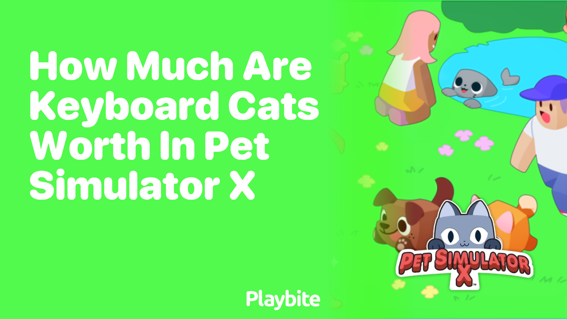 How Much Are Keyboard Cats Worth in Pet Simulator X?