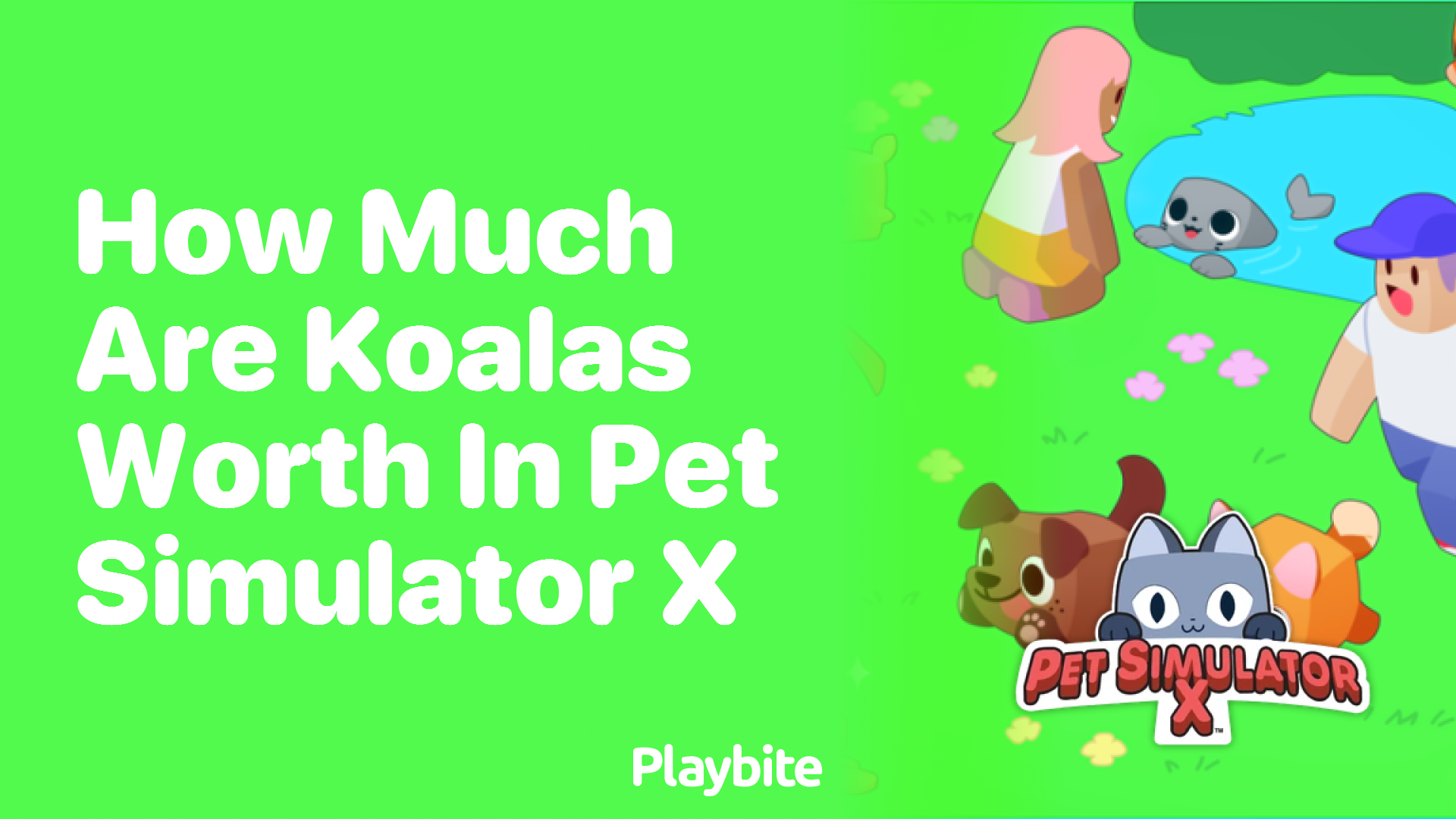 How much are Koalas worth in Pet Simulator X?