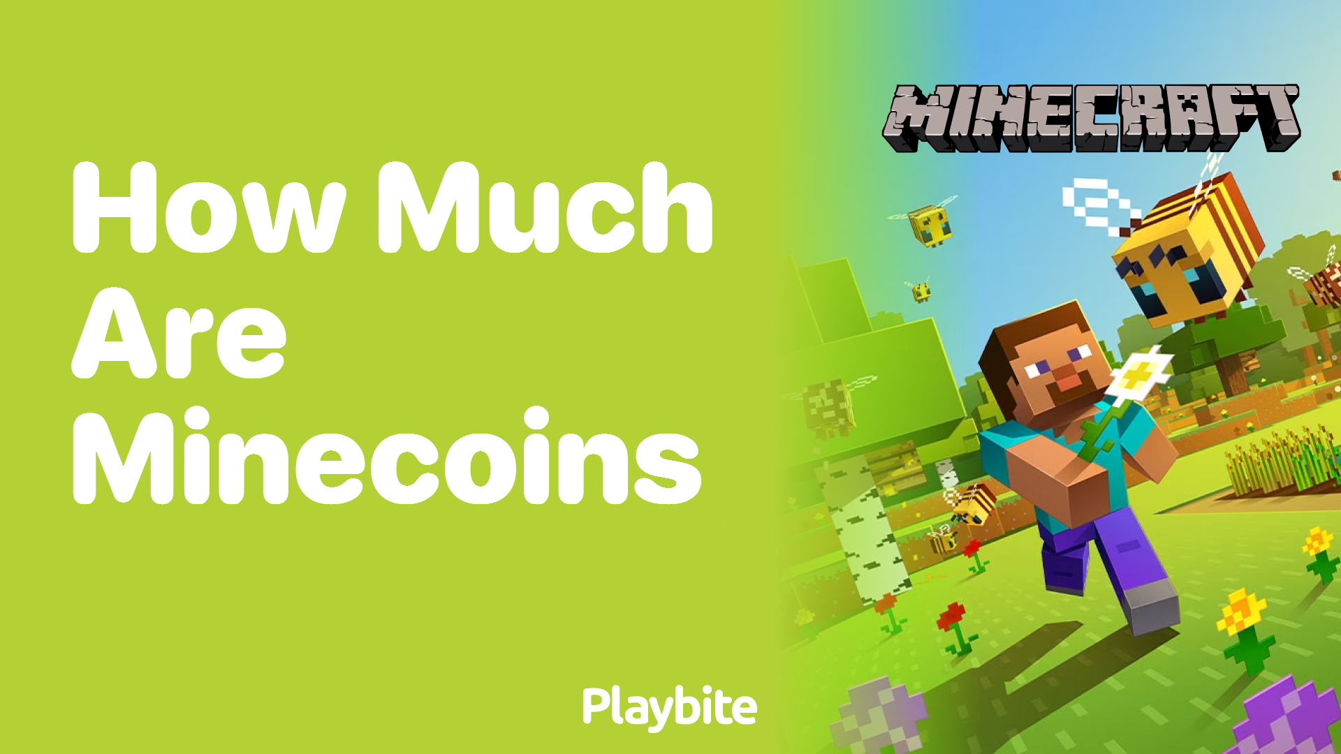 How Much Are Minecoins? Unveiling the Mystery