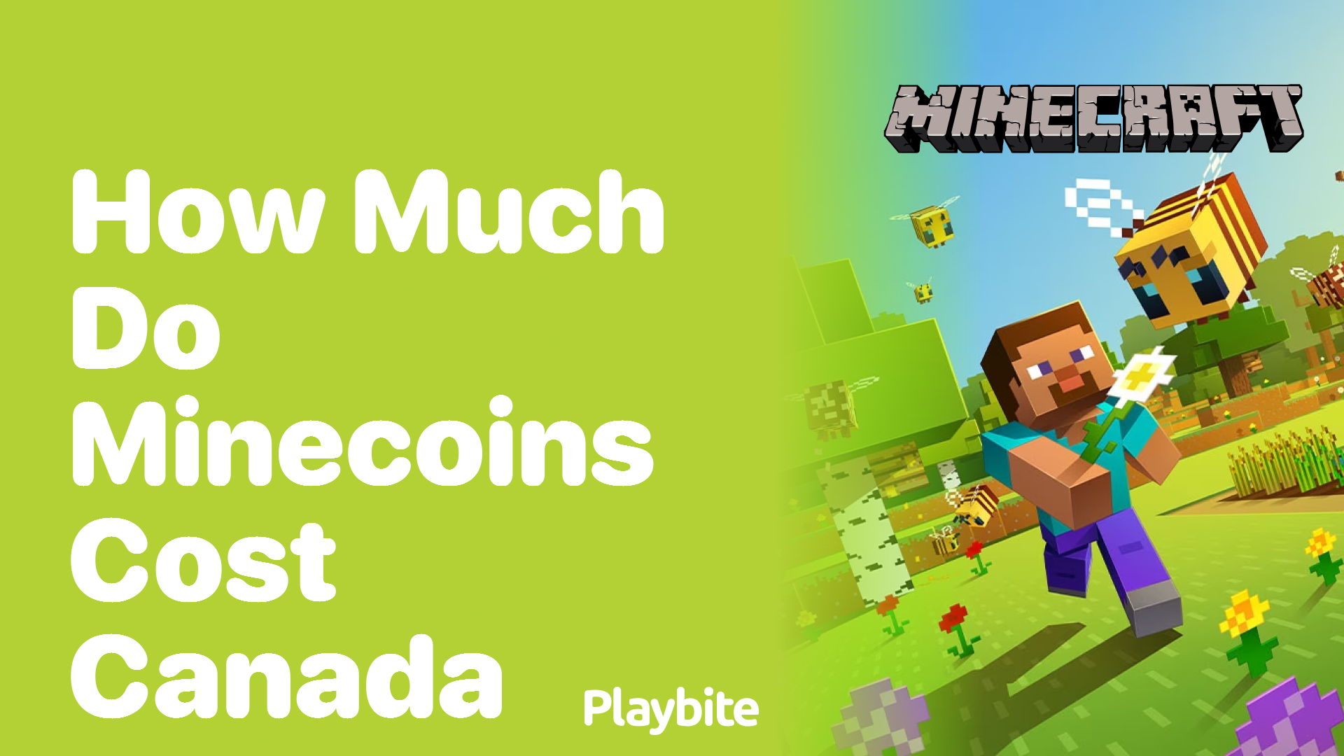 How Much Do Minecoins Cost in Canada?