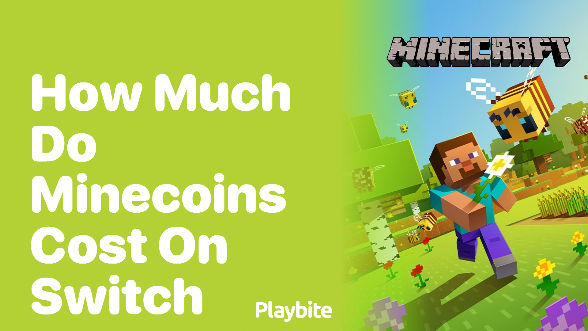 How Much Do Minecoins Cost on Nintendo Switch?