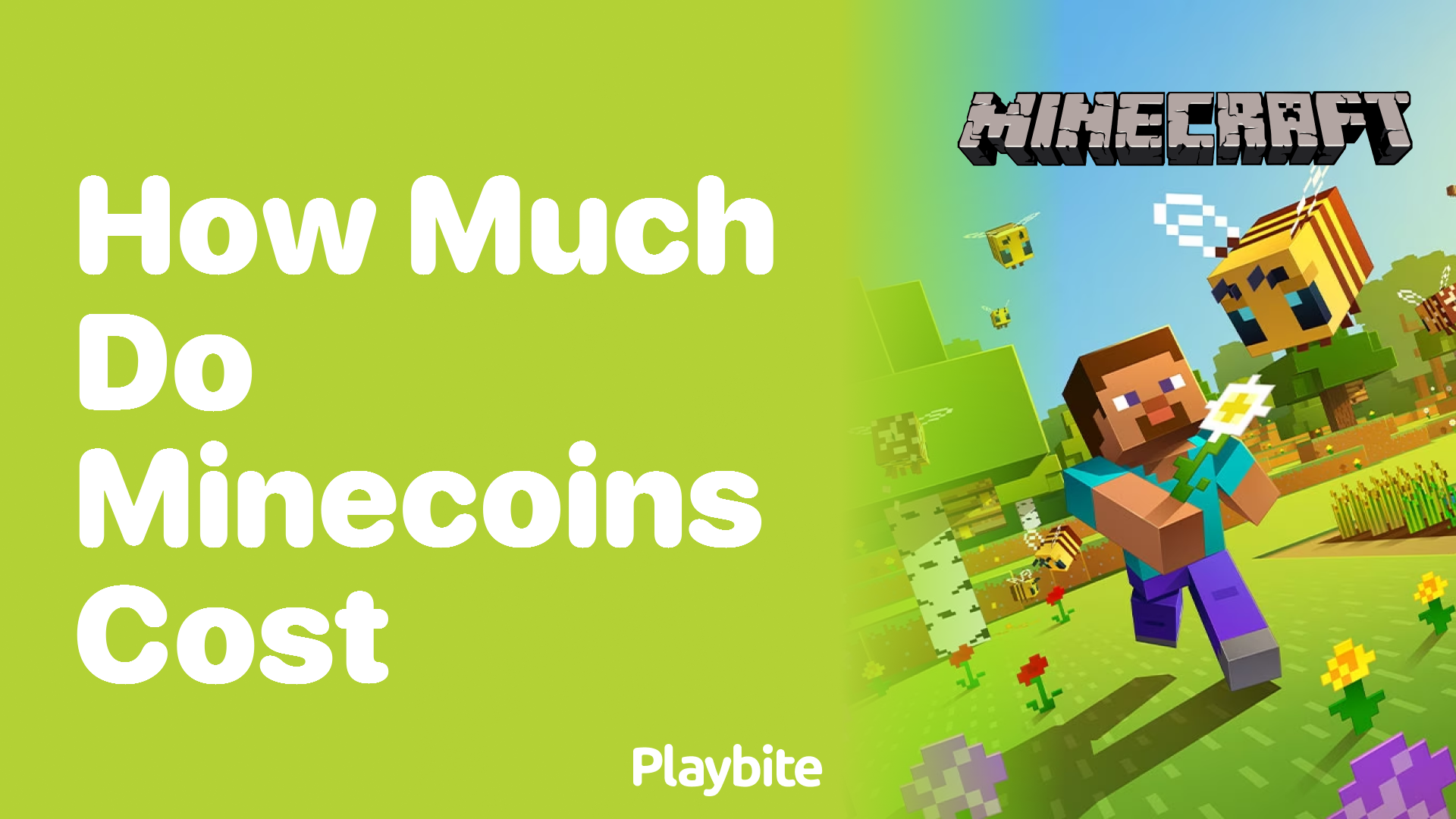 How Much Do Minecoins Cost? Your Quick Guide to Minecraft Currency