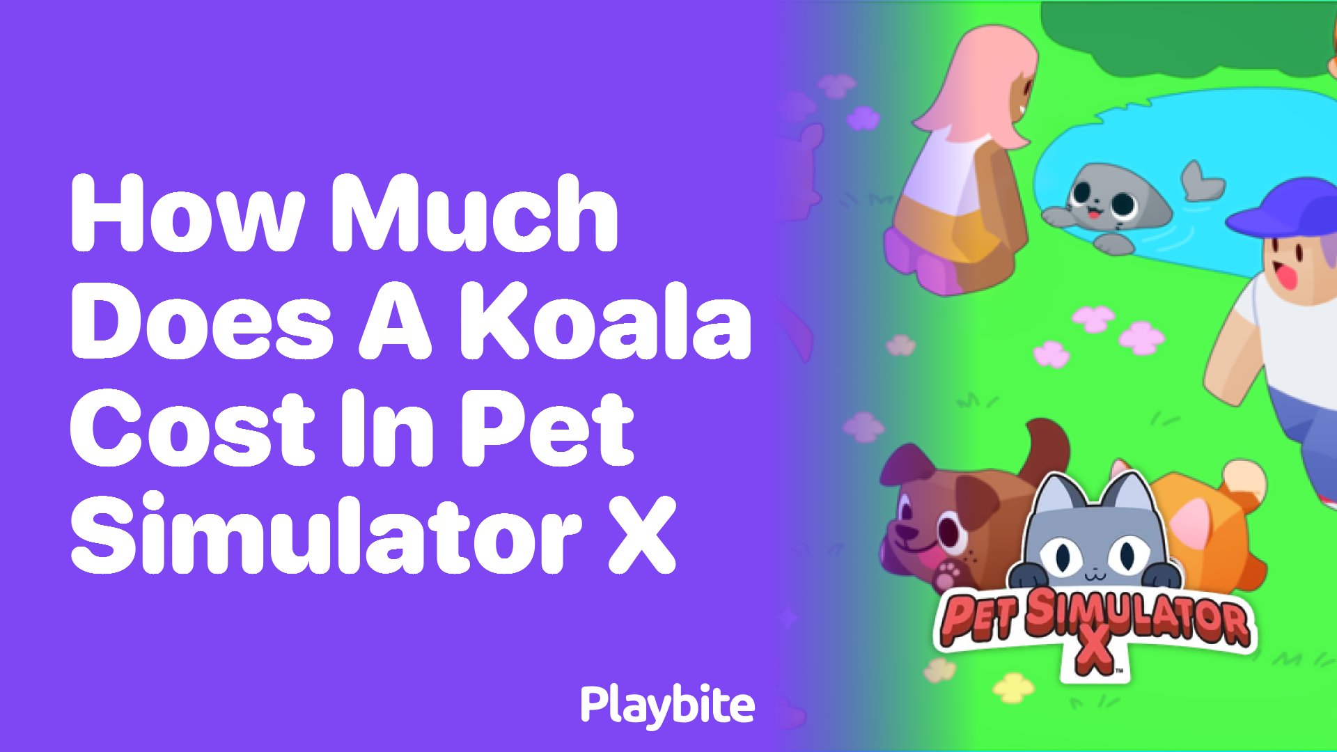 How much does a koala cost in Pet Simulator X?