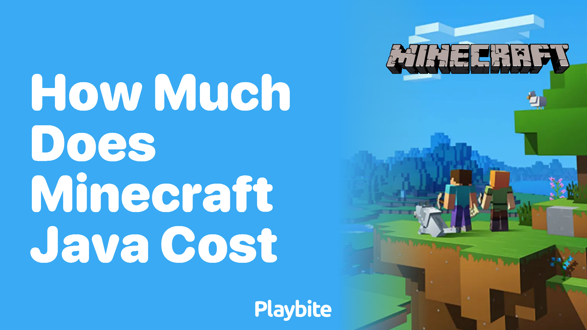 How Much Does Minecraft Java Cost?