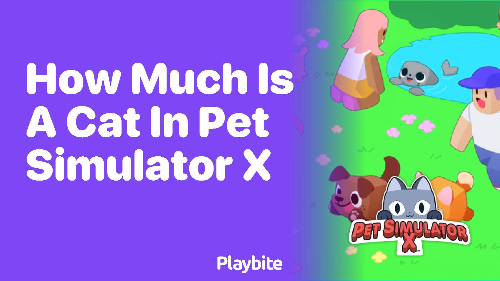 How Much is a Cat in Pet Simulator X? Unraveling the Mystery