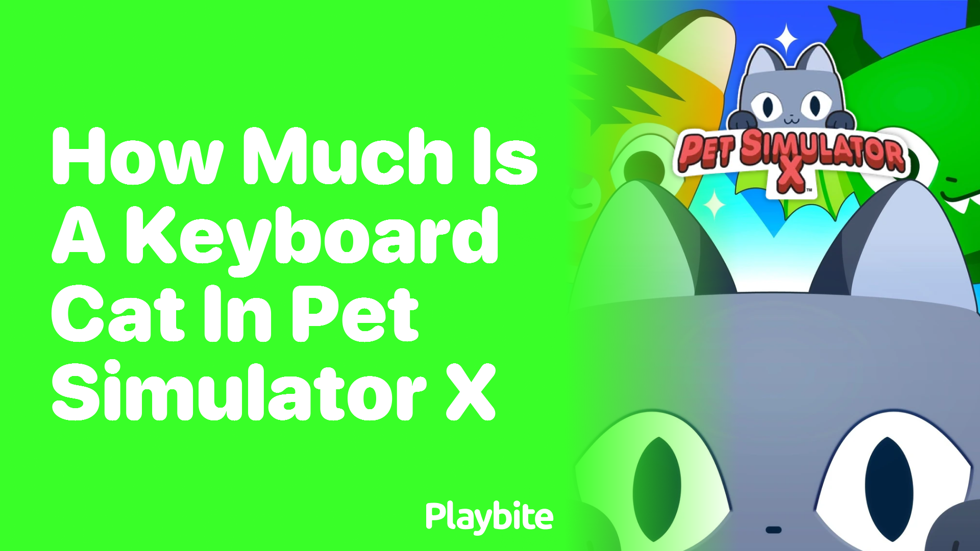 How Much is a Keyboard Cat in Pet Simulator X?