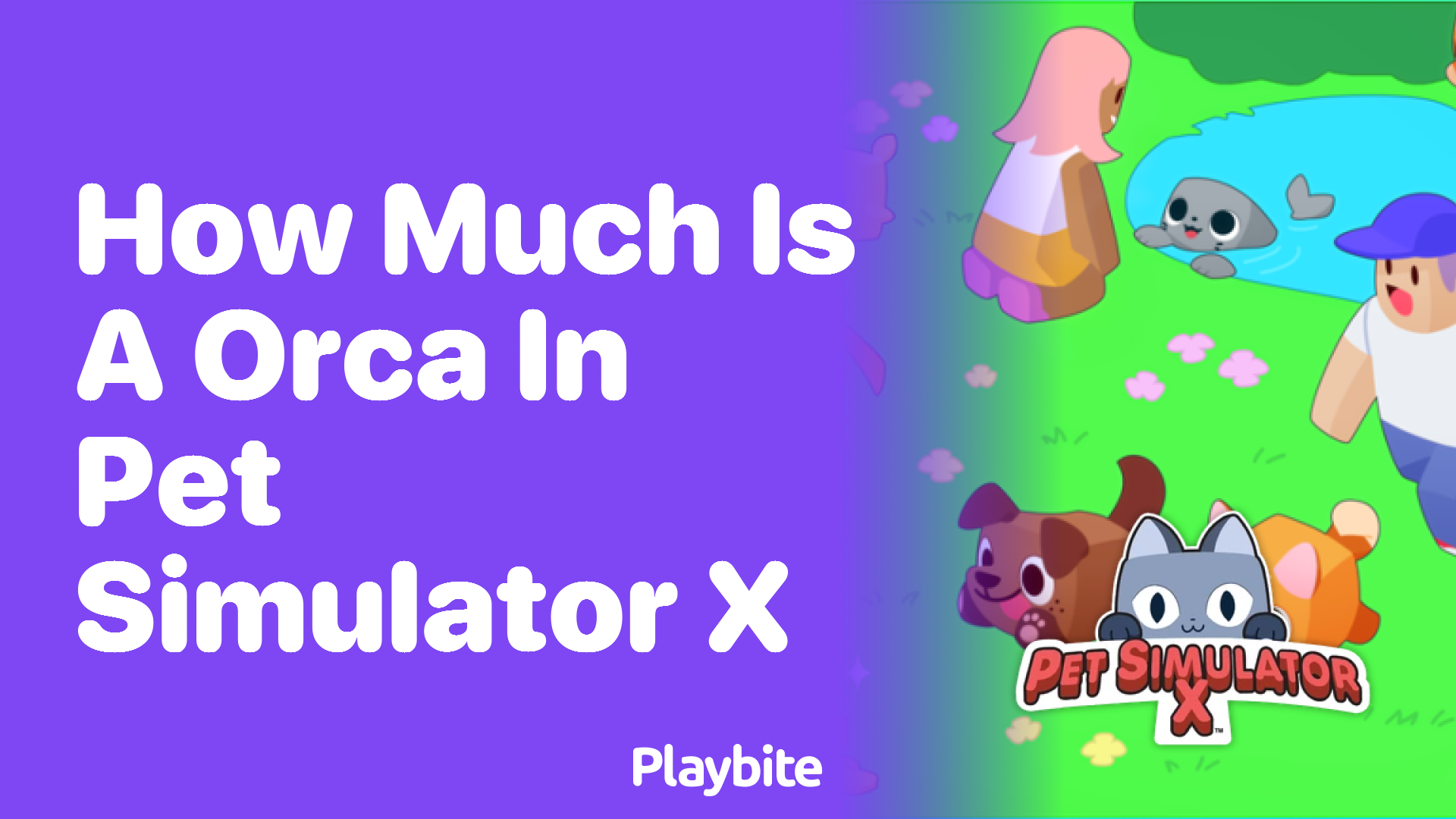 How Much is an Orca in Pet Simulator X?