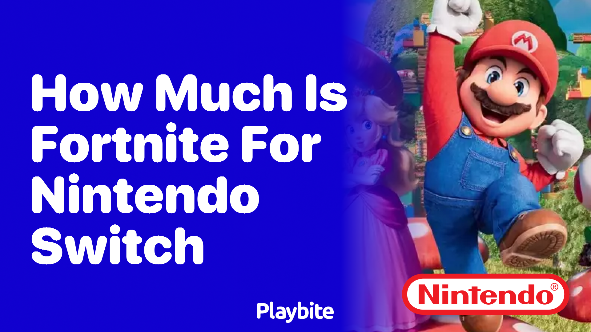 How Much Does Fortnite Cost for Nintendo Switch? - Playbite