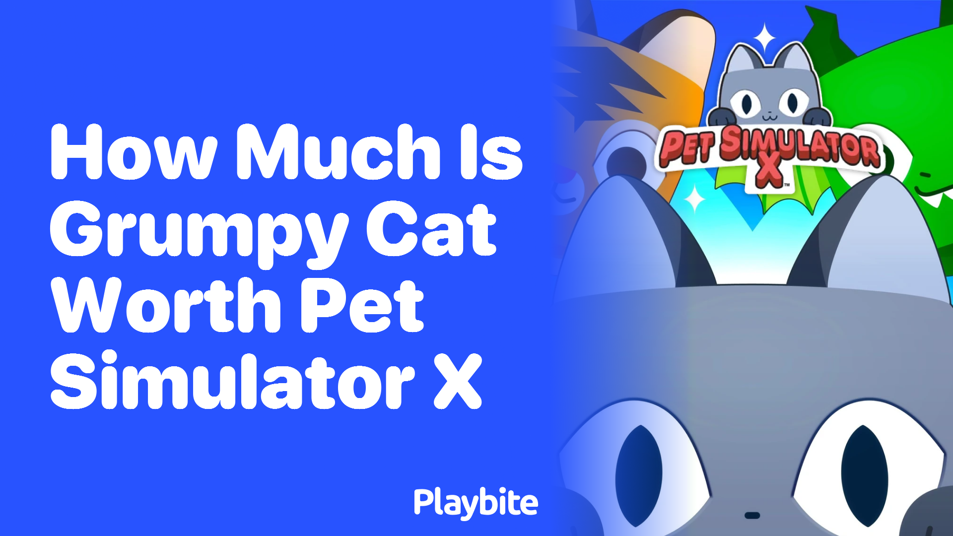 How Much is Grumpy Cat Worth in Pet Simulator X?