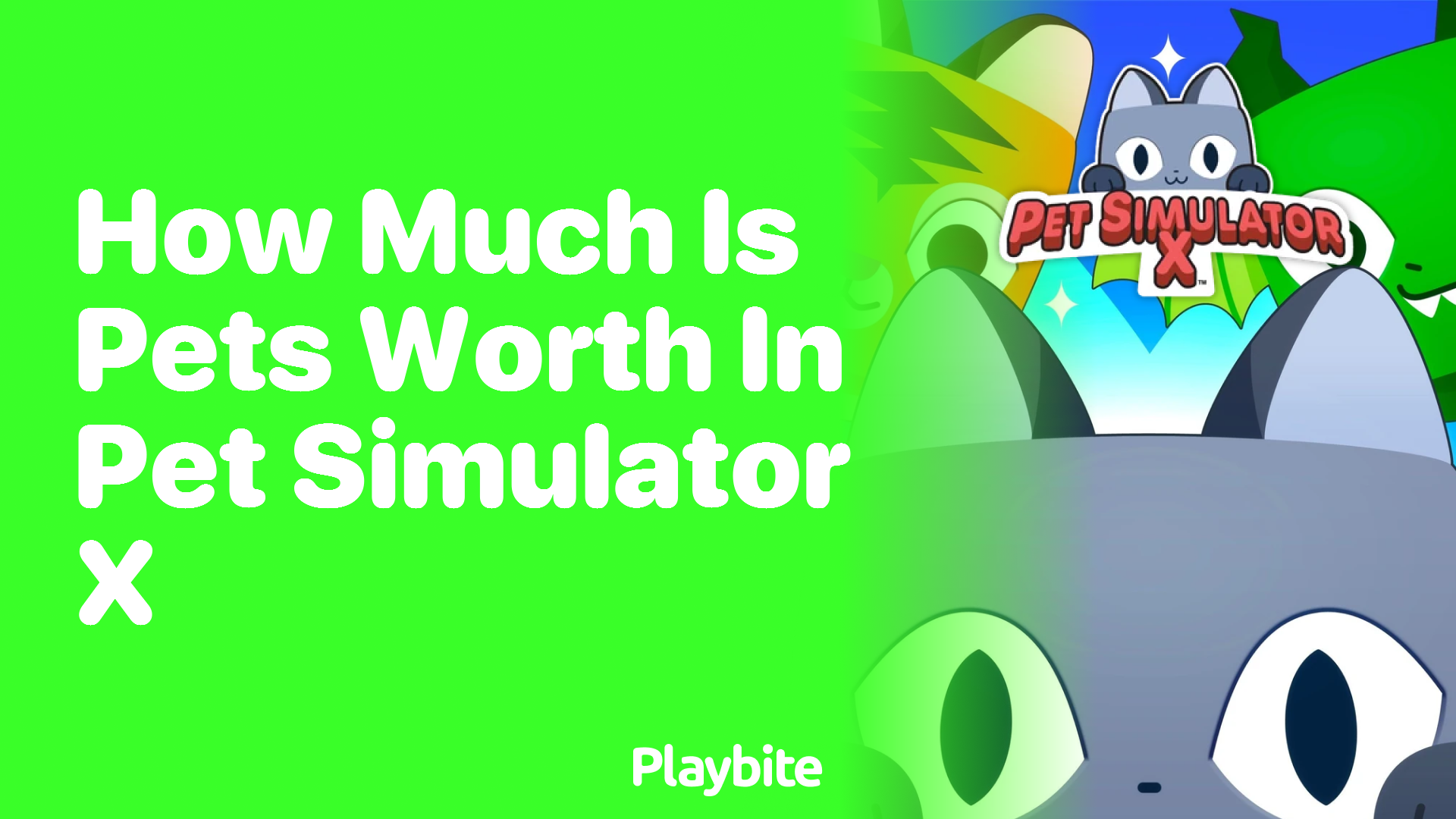 How Much is Pets Worth in Pet Simulator X?