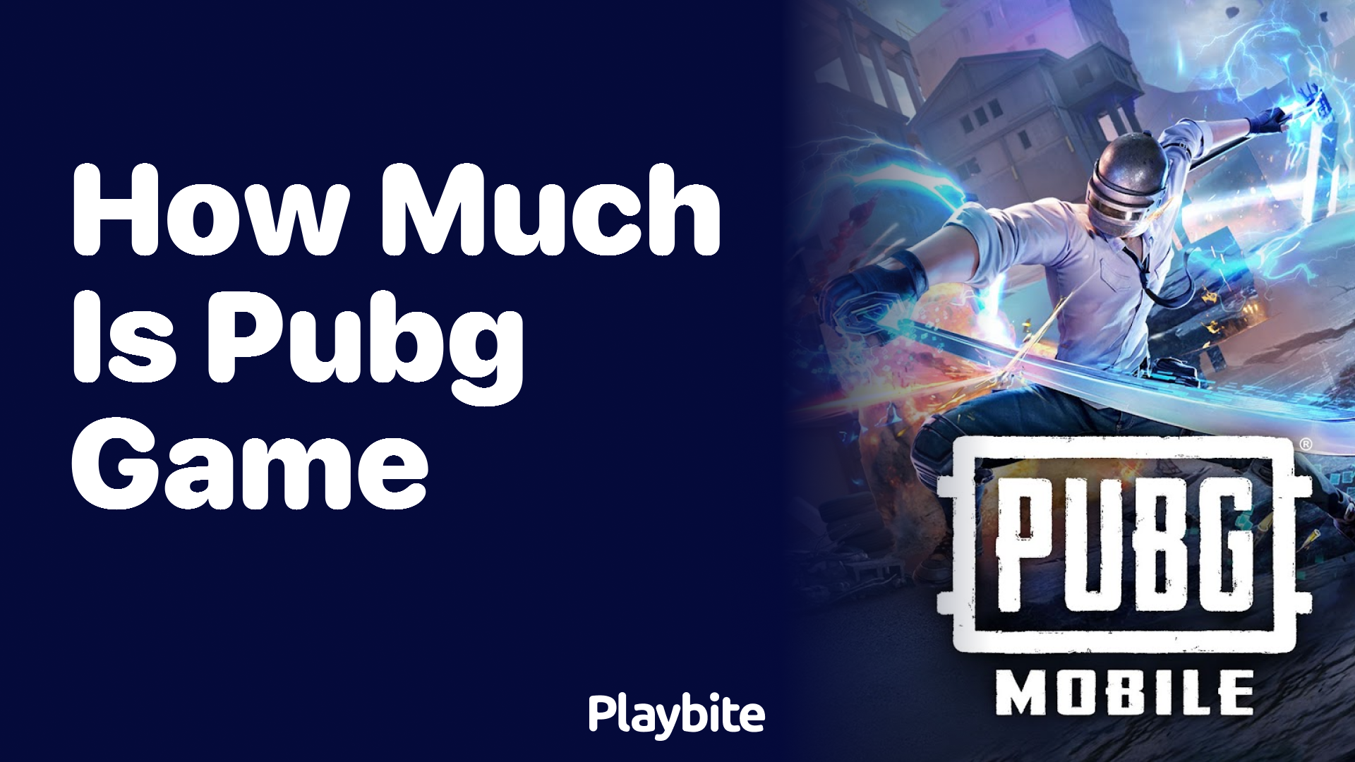 How Much Does the PUBG Game Cost?