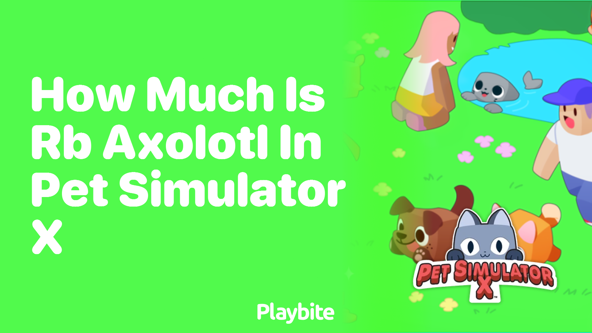 How Much is RB Axolotl in Pet Simulator X?