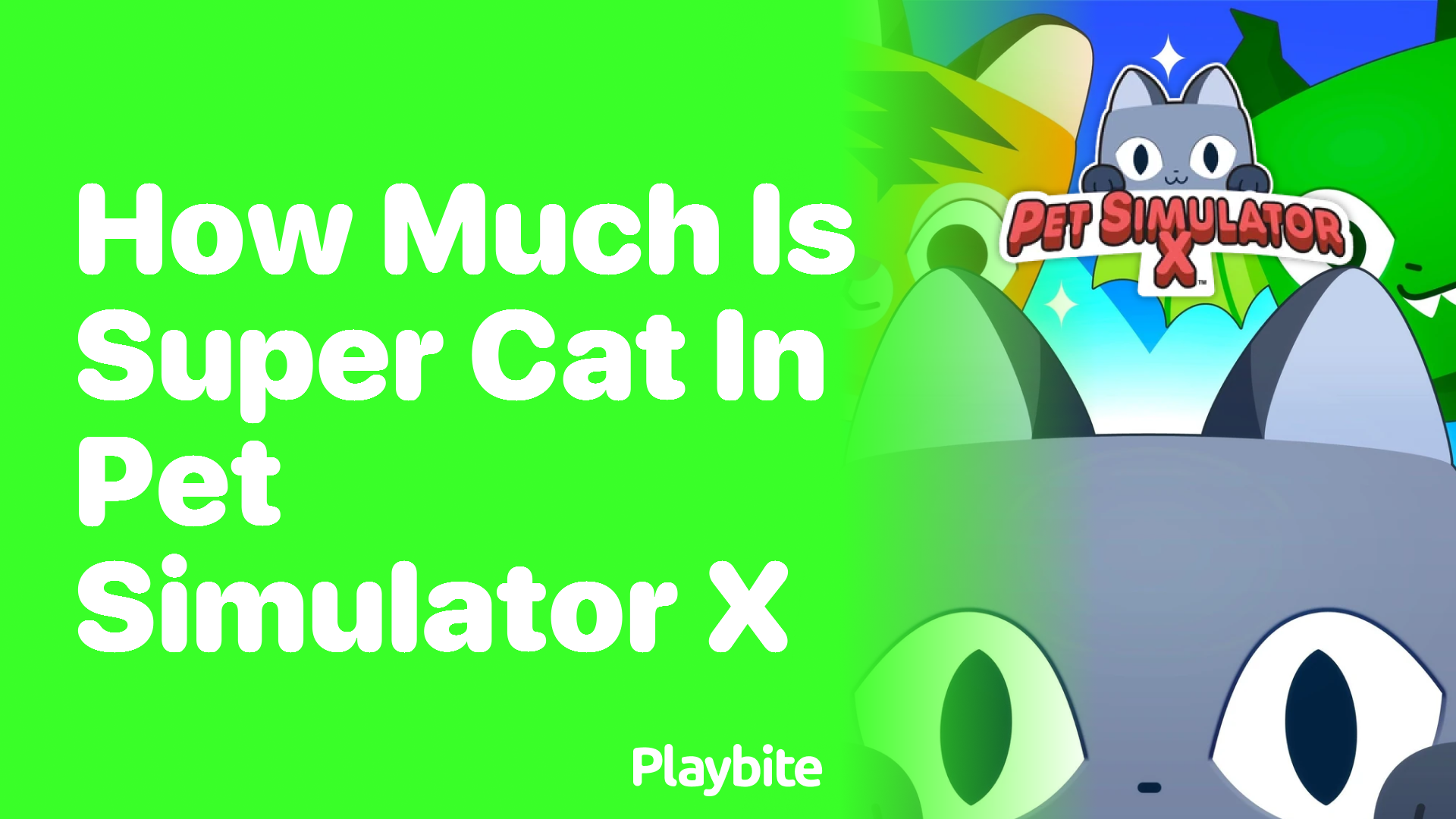 How Much Is Super Cat in Pet Simulator X?