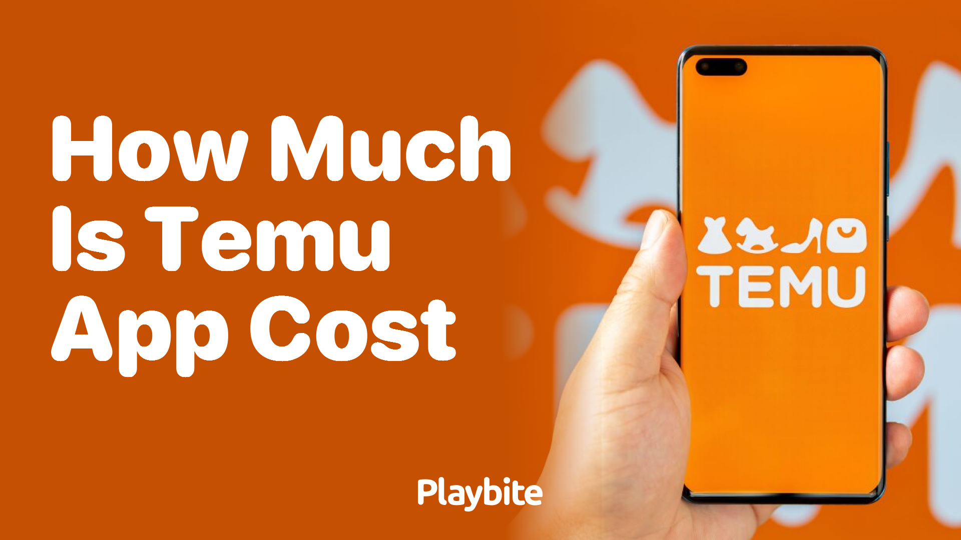 How Much Does the Temu App Cost?