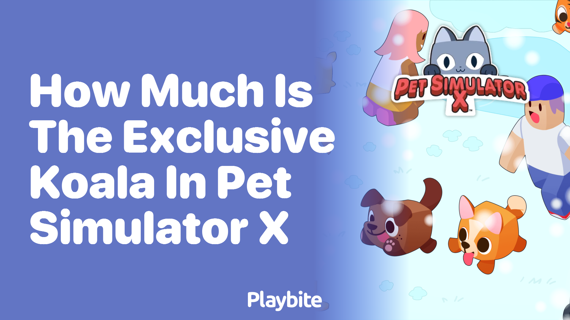 How Much is the Exclusive Koala in Pet Simulator X?