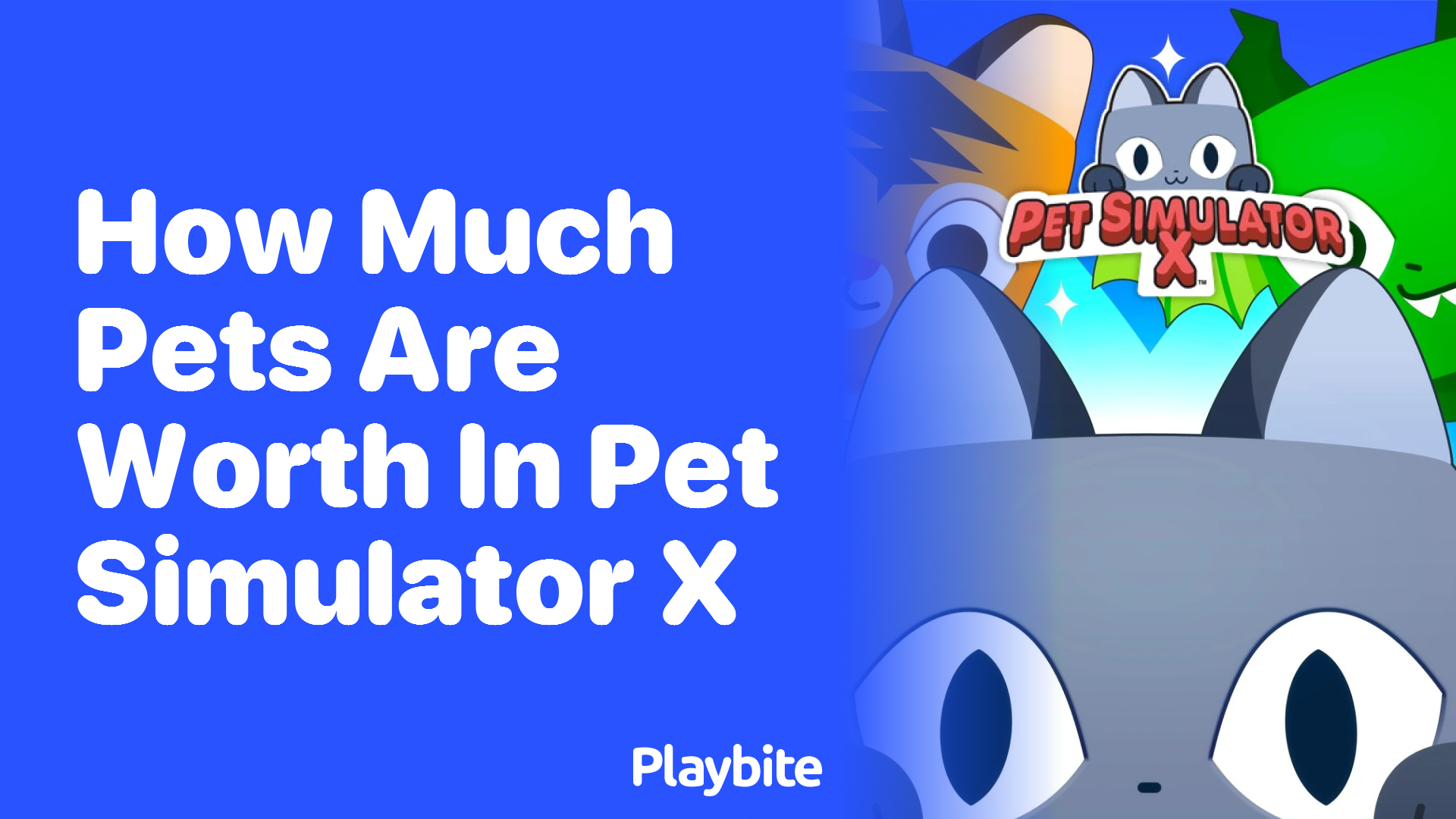 Discovering Pet Values in Pet Simulator X