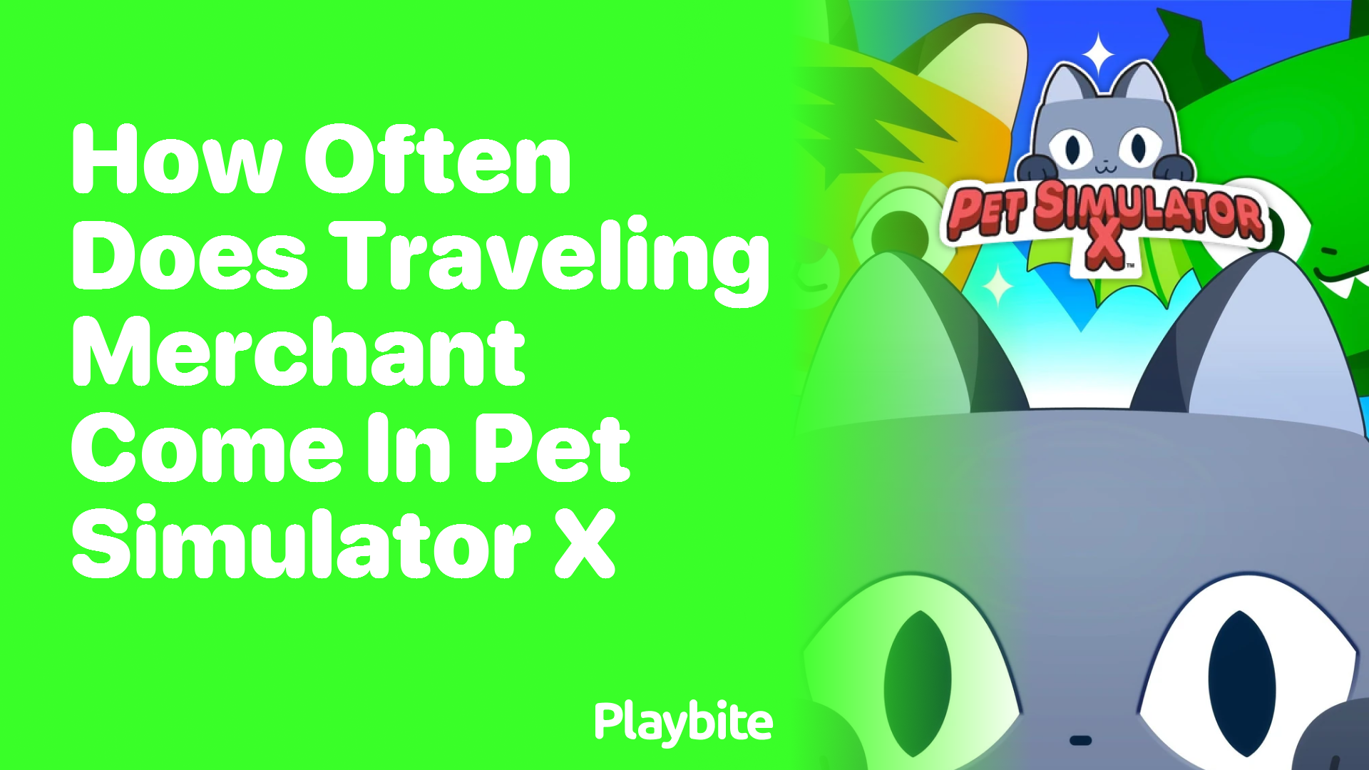 how often does the traveling merchant come in Pet Simulator X?