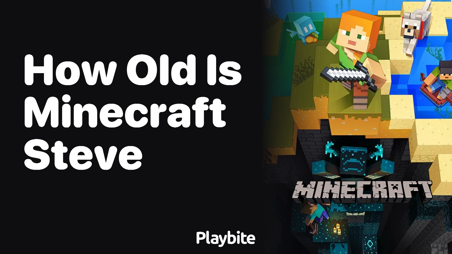 How Old is Minecraft Steve? - Playbite